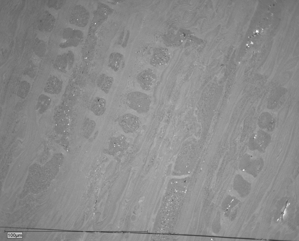 081018_4 Pict 09 vitr.JPG