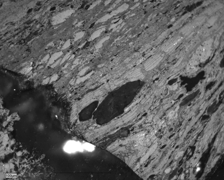 PEN-9-014 Pict 01 General BW.JPG