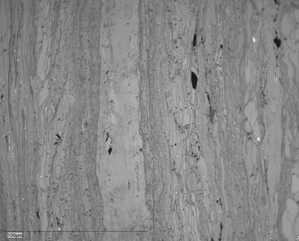 PEN9-003 Block Pict 19 collotelinite and suberinite.JPG