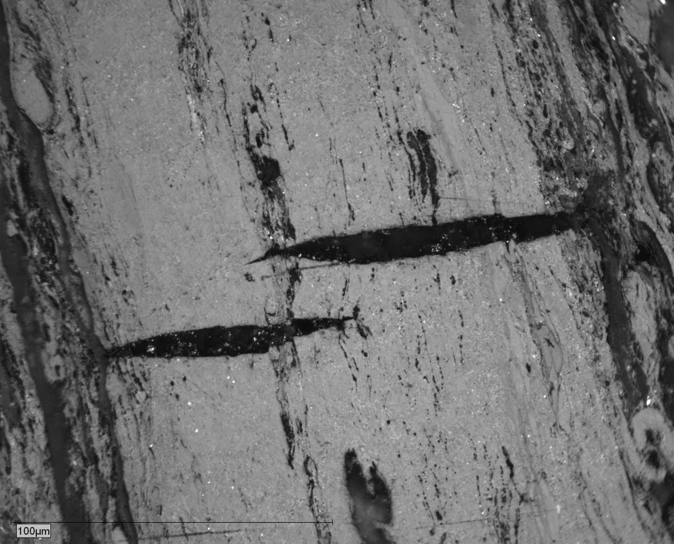 PEN-9-014 Block Pict 13 exsudatinite BW.JPG