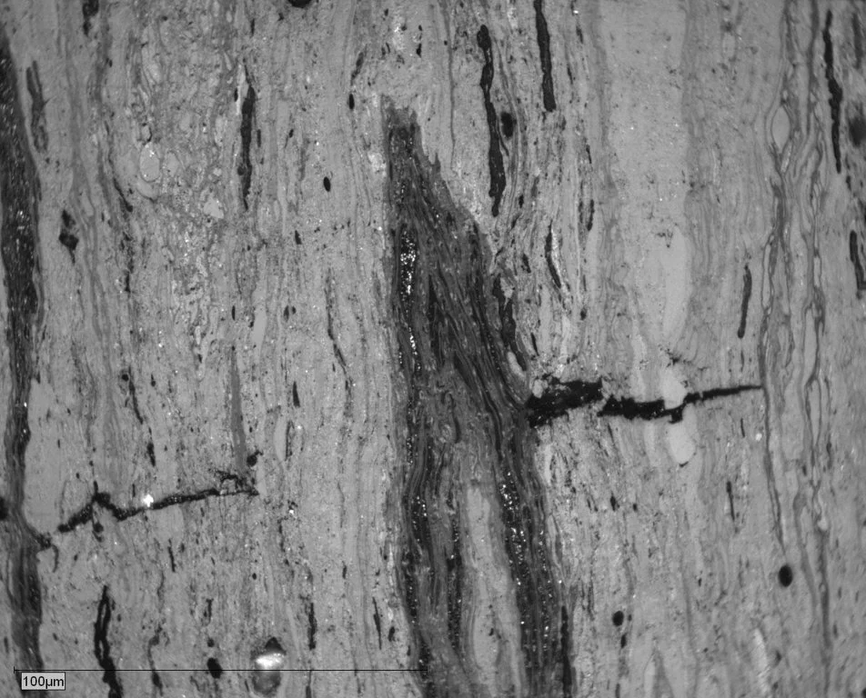 PEN-9-029 Block Pict 02 Cutinite+Resinite+exsudatinite.JPG