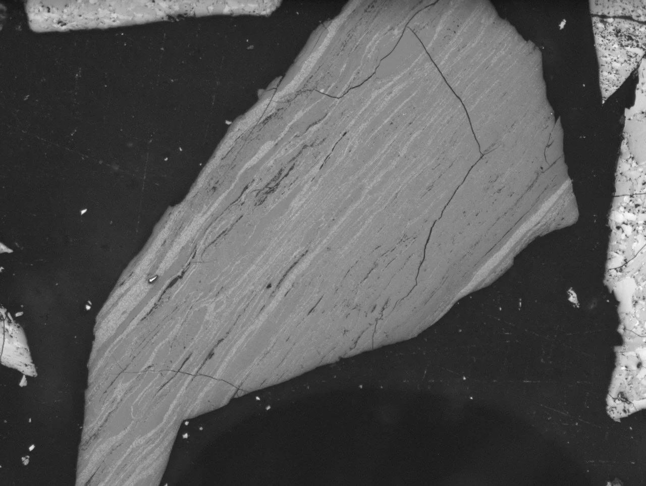 UQ_72_09.JPG