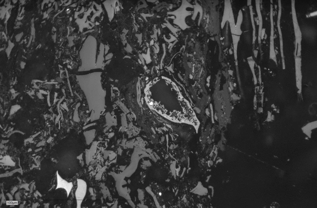 1-J-Fusain-B Pict 118 50x.JPG