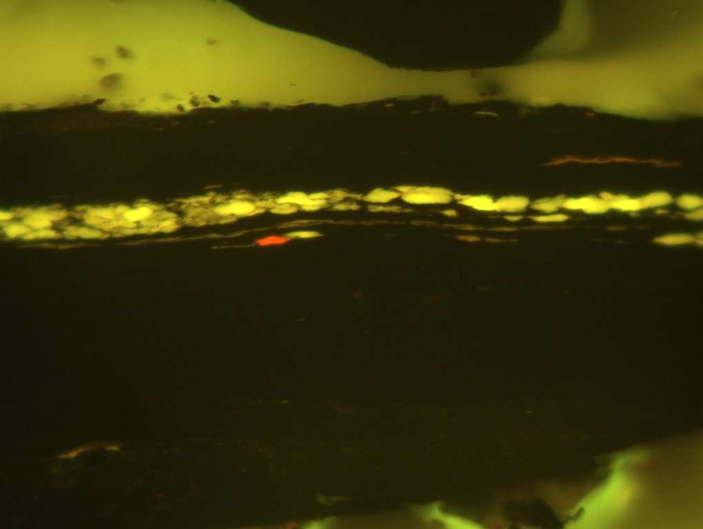 3157_50X_Fluo_12-sr.png