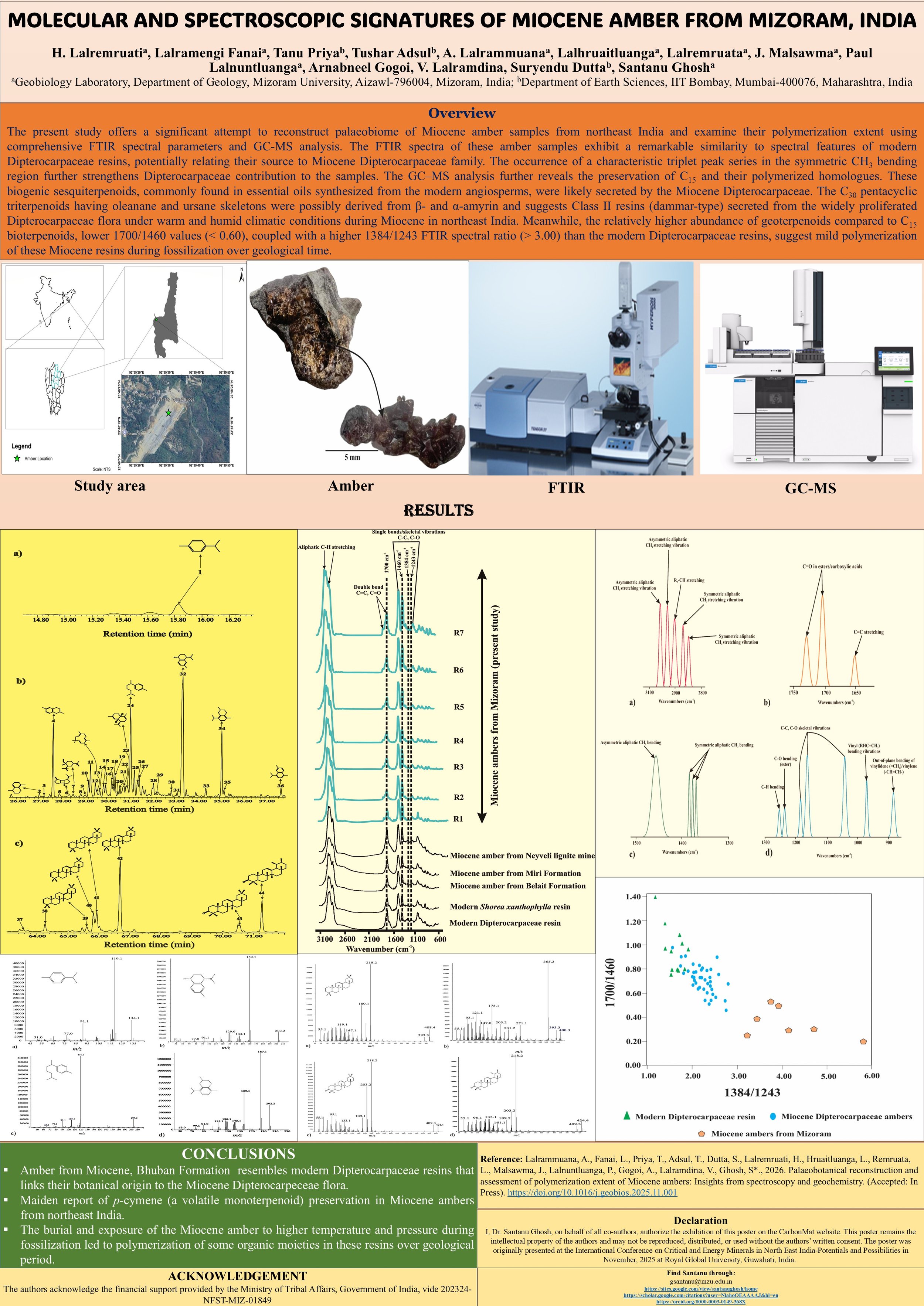 MOLECULAR AND SPECTROSCOPIC NICETIES OF MIOCENE AMBER.jpg