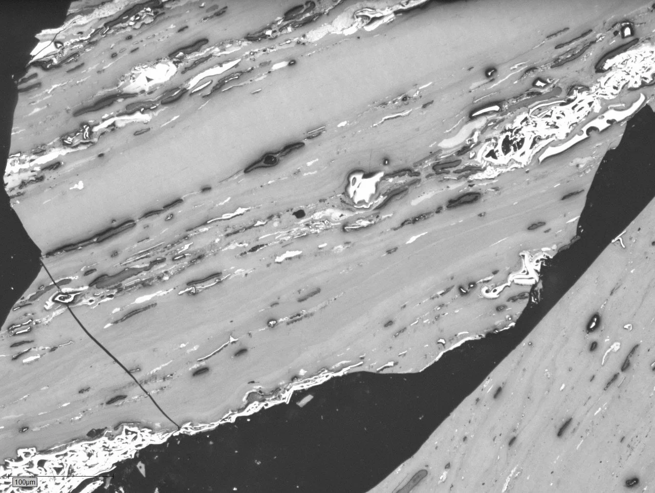 Coal macerals: inertinite (white), vitrinite (grey), liptinite (dark grey/brown). German Creek Coal Measures, Bowen Basin, Australia. Photomicrograph taken in reflected white light.