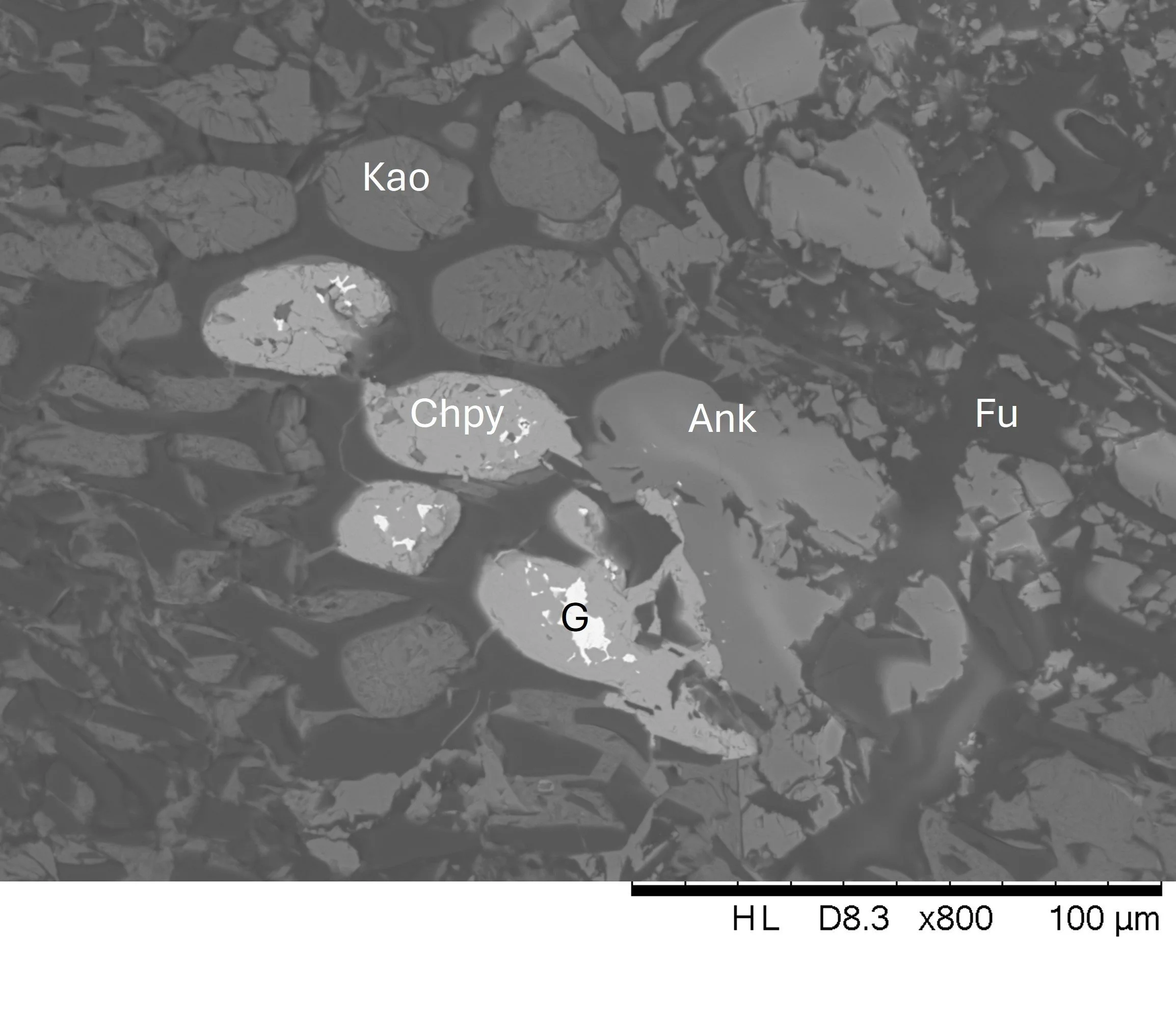 Fusinite (Fu) maceral with cell lumina filled with kaolinite (Kao), ankerite (Ank) and chalcopyrite (Chpy) with galena (G) exudations. Rangal Coal Measures, Bowen Basin. SEM image in BSE mode