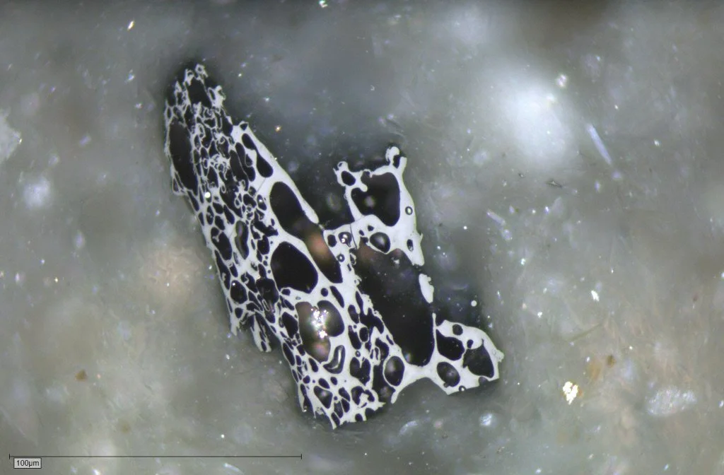 Charcoal derived from florest fire found in recent river stream sediments. New Zealand. Photomicrograph taken in reflected white light.