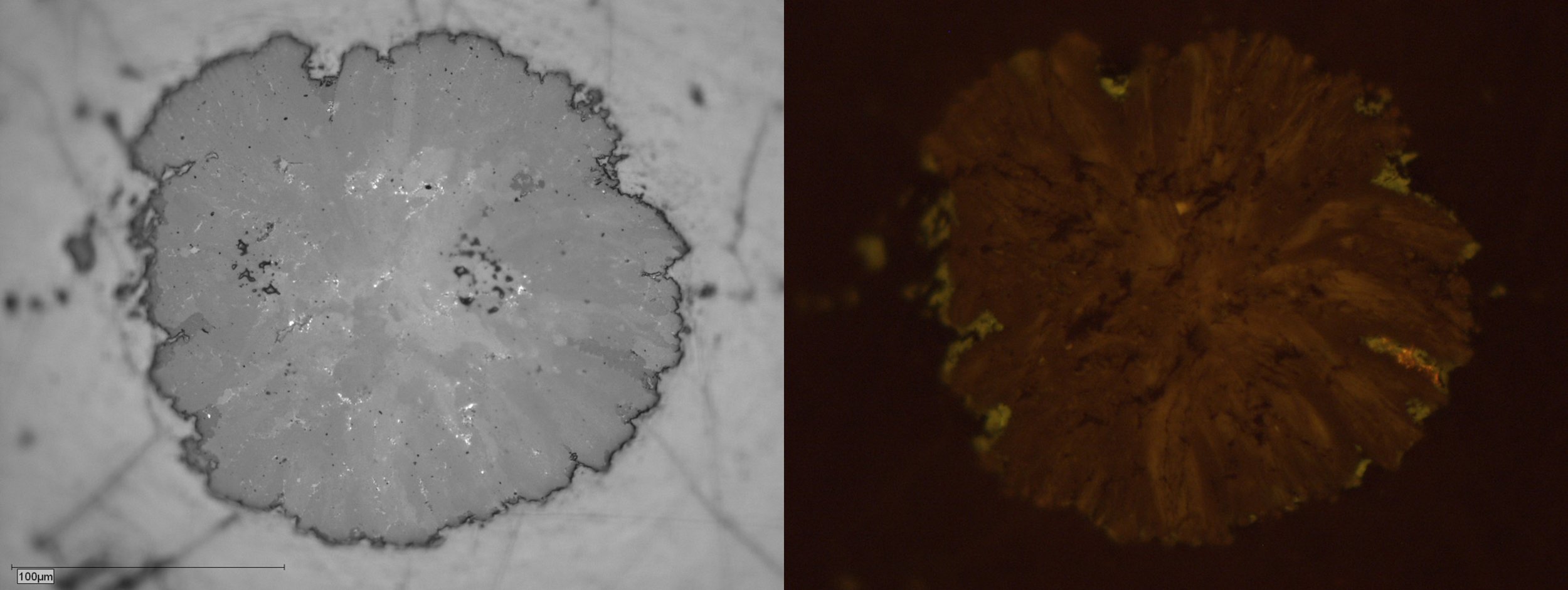 Siderite nodule. Moranbah Coal Measures, Bowen Basin. Photomicrographs in reflected white light (left) and fluorescent mode (right).