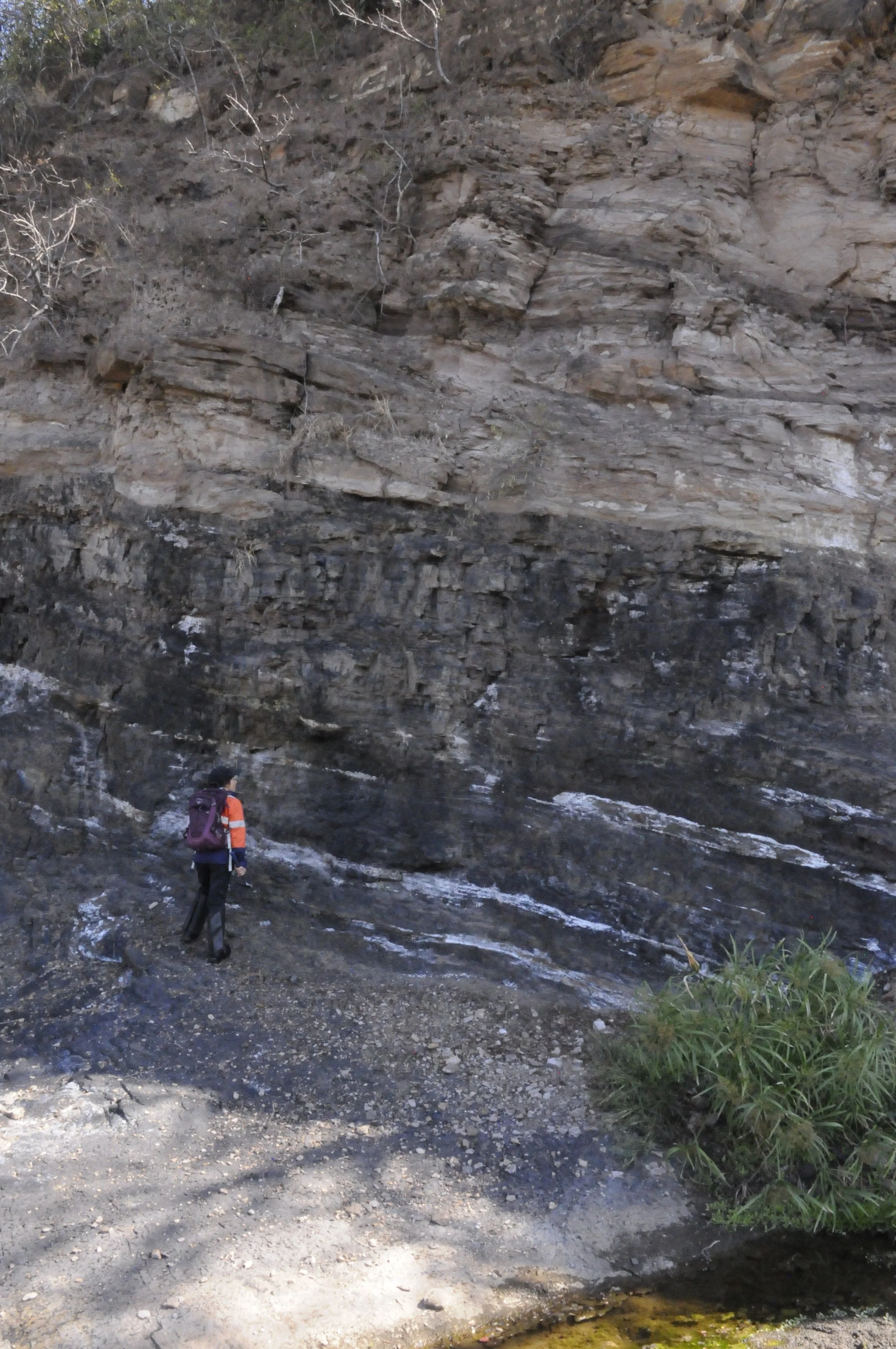 Fieldwork in Mozambique. Exposed coal seams.
