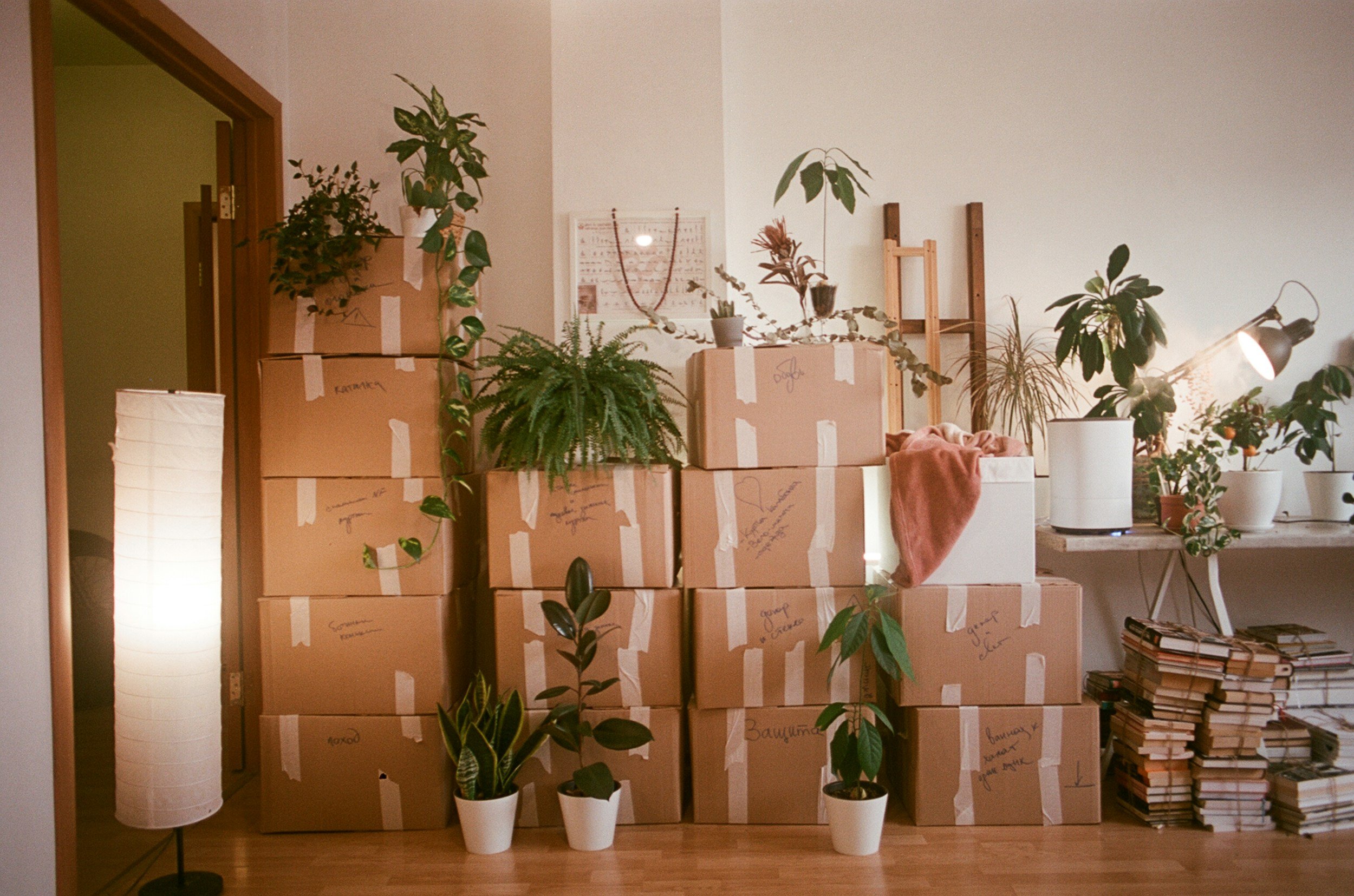 Moving Soon? How Declutter and Reset Helps You Declutter Before Your Move and Organize Your New Home in Boulder and Denver