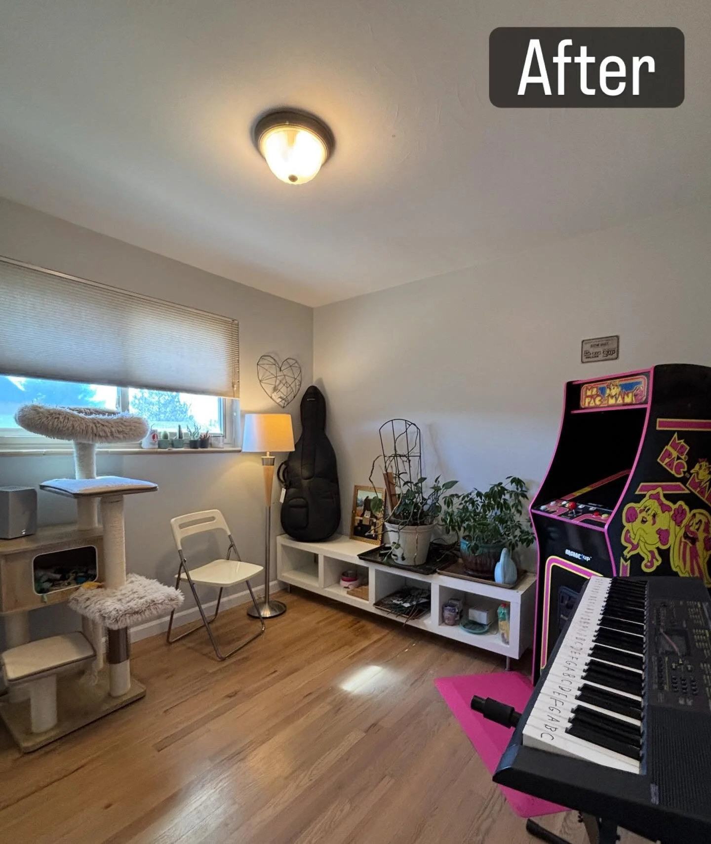 From an unusable game and cello room to one that is inviting and organized. We repurposed the white bench from another room in the house. 🎻🪴👾

#declutterandreset