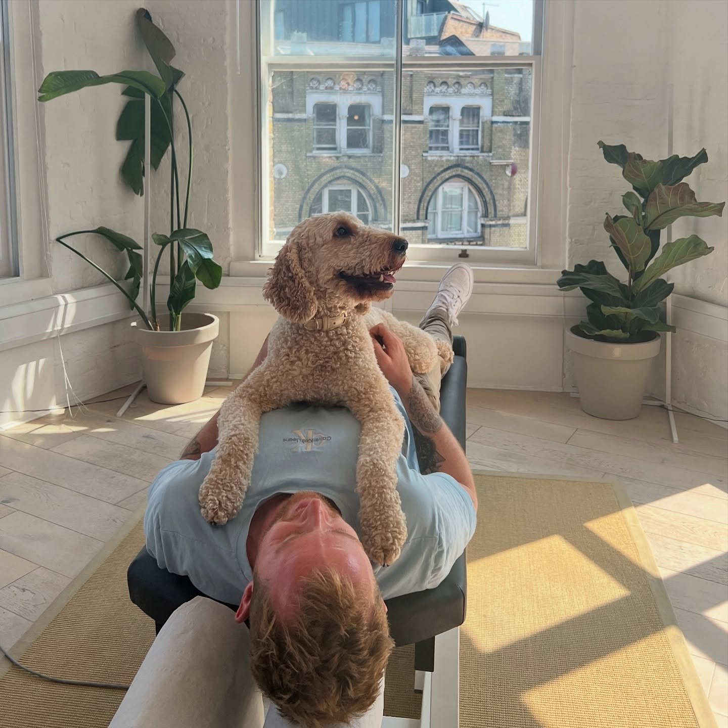 Weekly peek at Haptic 🩵⭐️🧠

#chiropractic #chiropractorsrock #fyp #happydog #dogslover #london #chiropraktik #posture #postureexercises