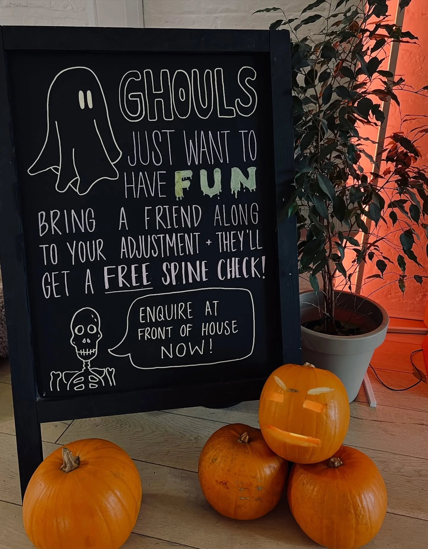 A new spooky 👻 deal for the rest of October!
Bring a friend along to your adjustment and they’ll get a free spinal screening 🦴
Don’t worry if you haven’t got a ghoul 💀 who comes to see us, you can use the link in our bio to boo