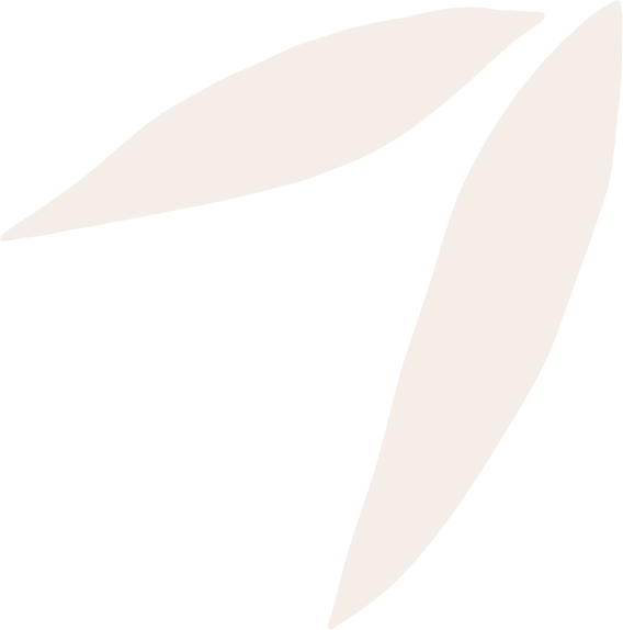 Three elongated, off-white leaves on a black background.