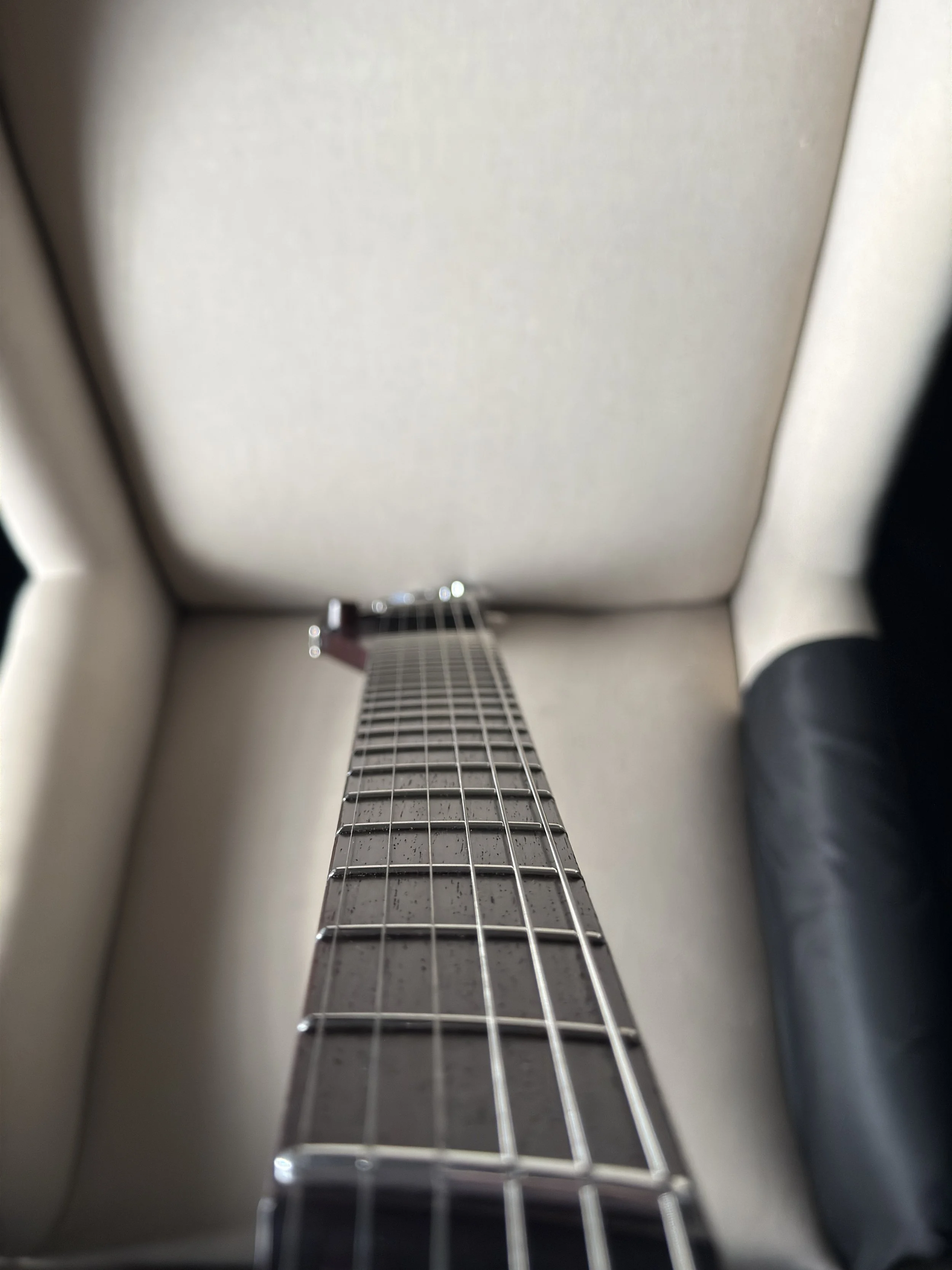 IMG_1628.jpeg