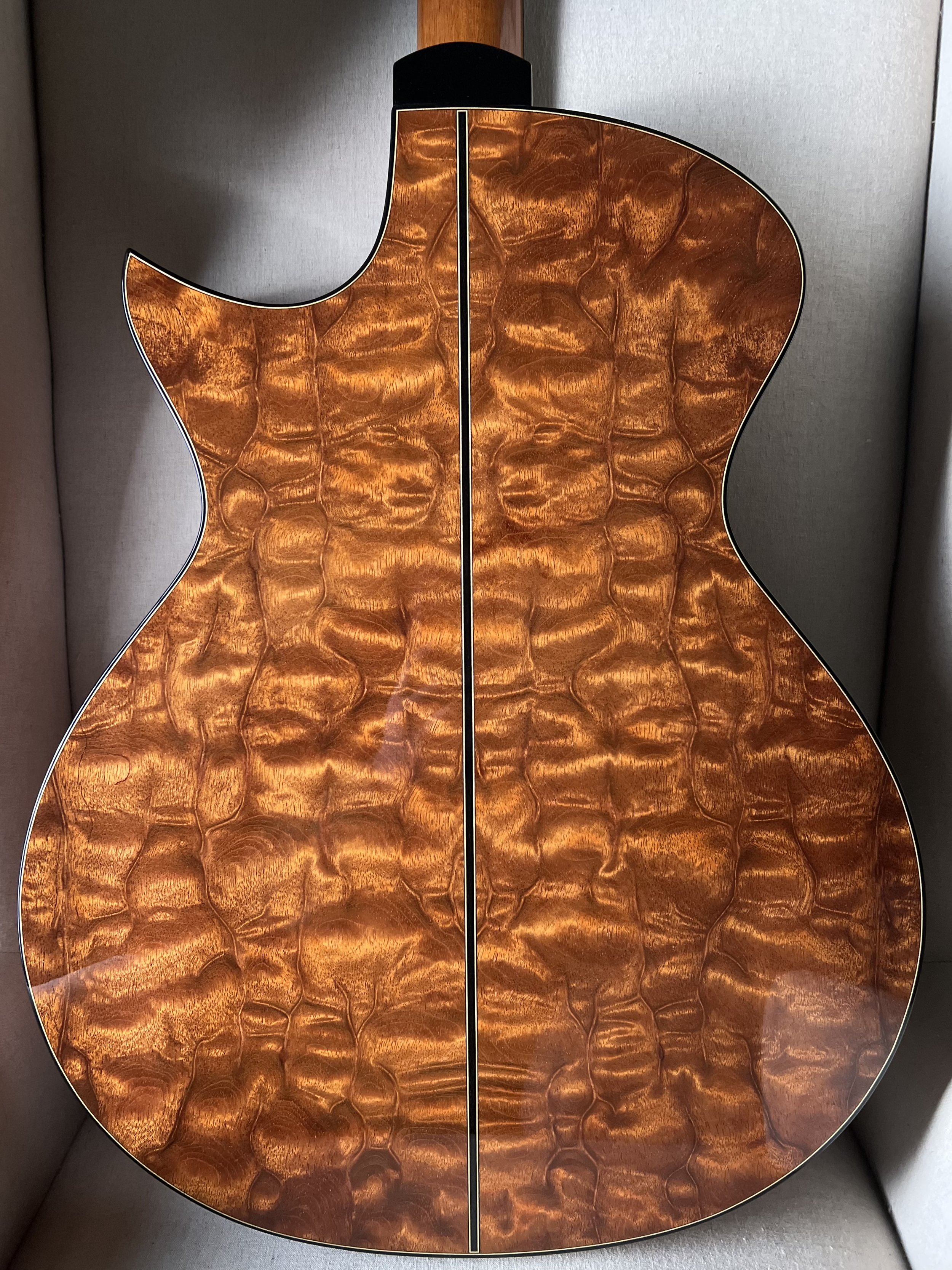 Joel Michaud The Tree Mahogany OMC