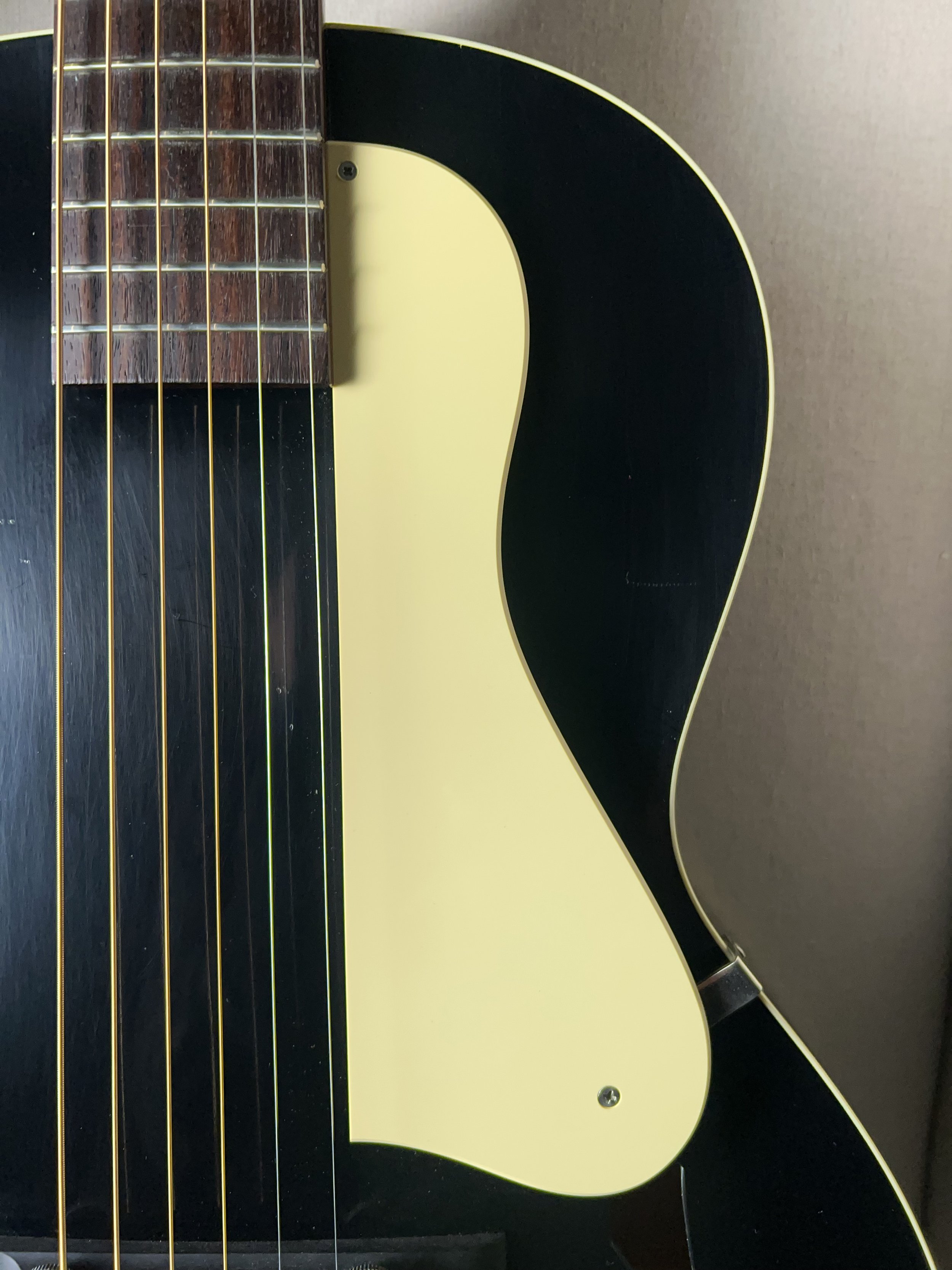 Waterloo WL-AT Archtop