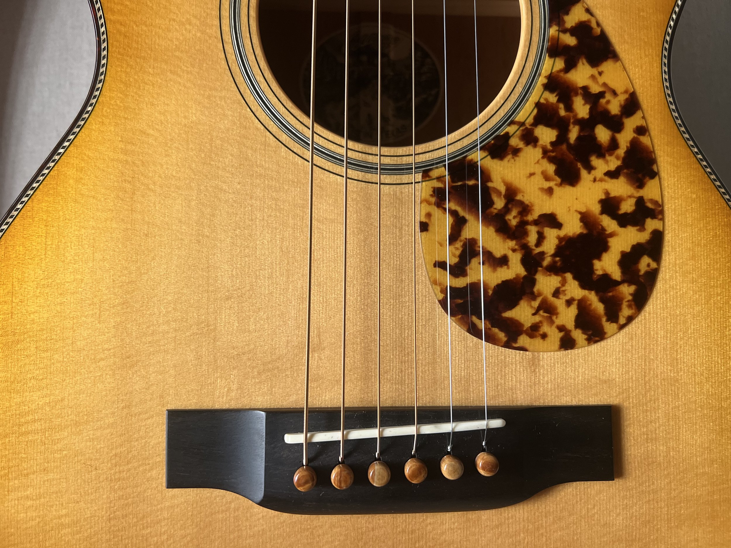 Collings 01SB Traditional Handmade Case