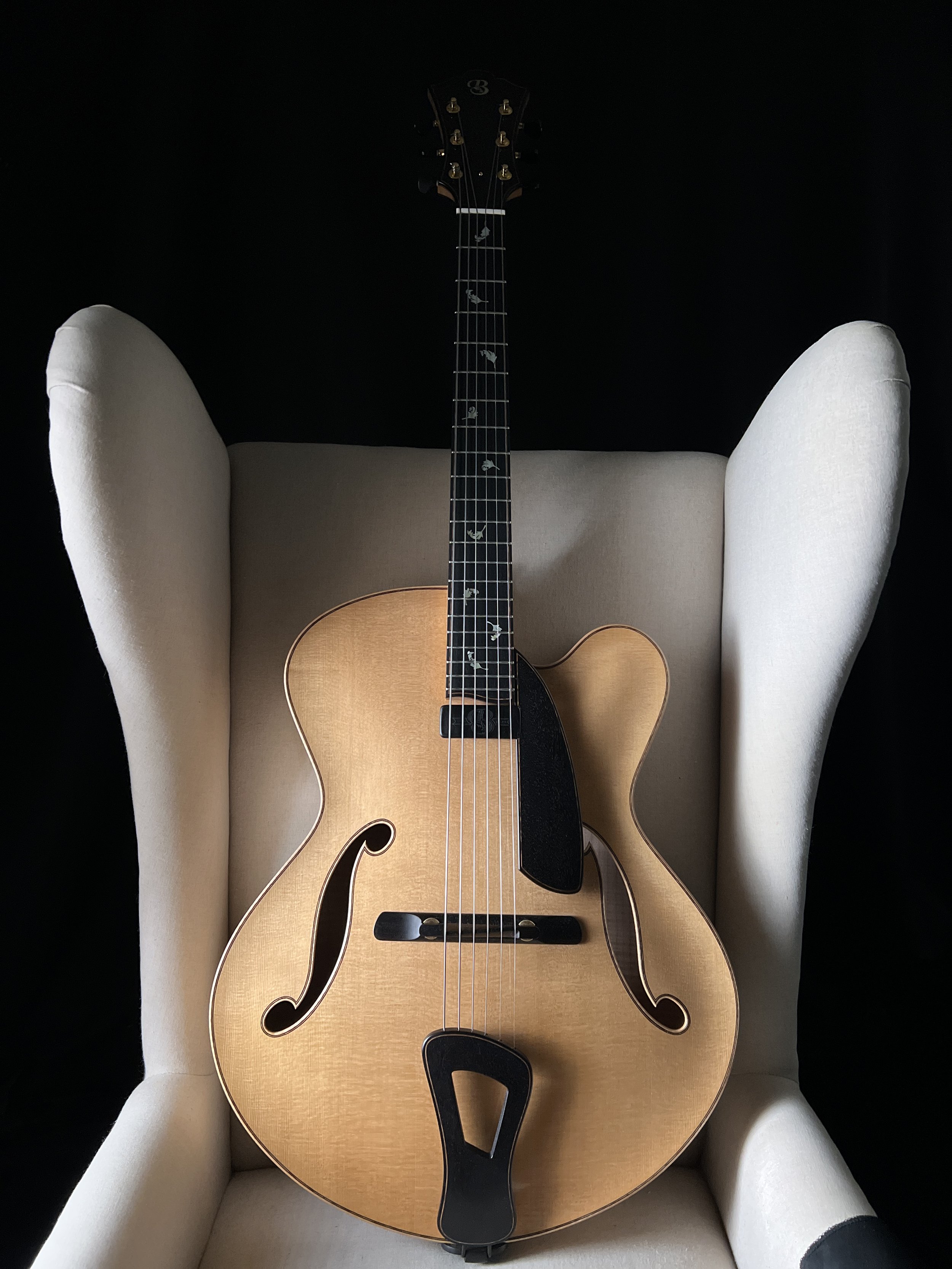 Tom Bills Natura Deluxe 17" Archtop