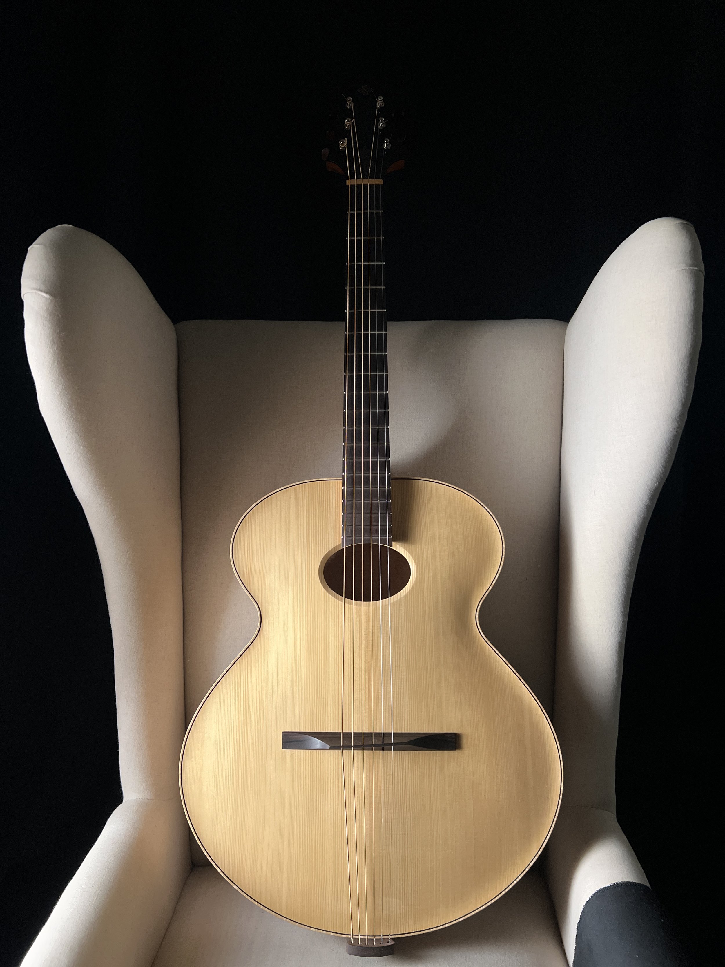 Erich Solomon Phidelity 16" Archtop