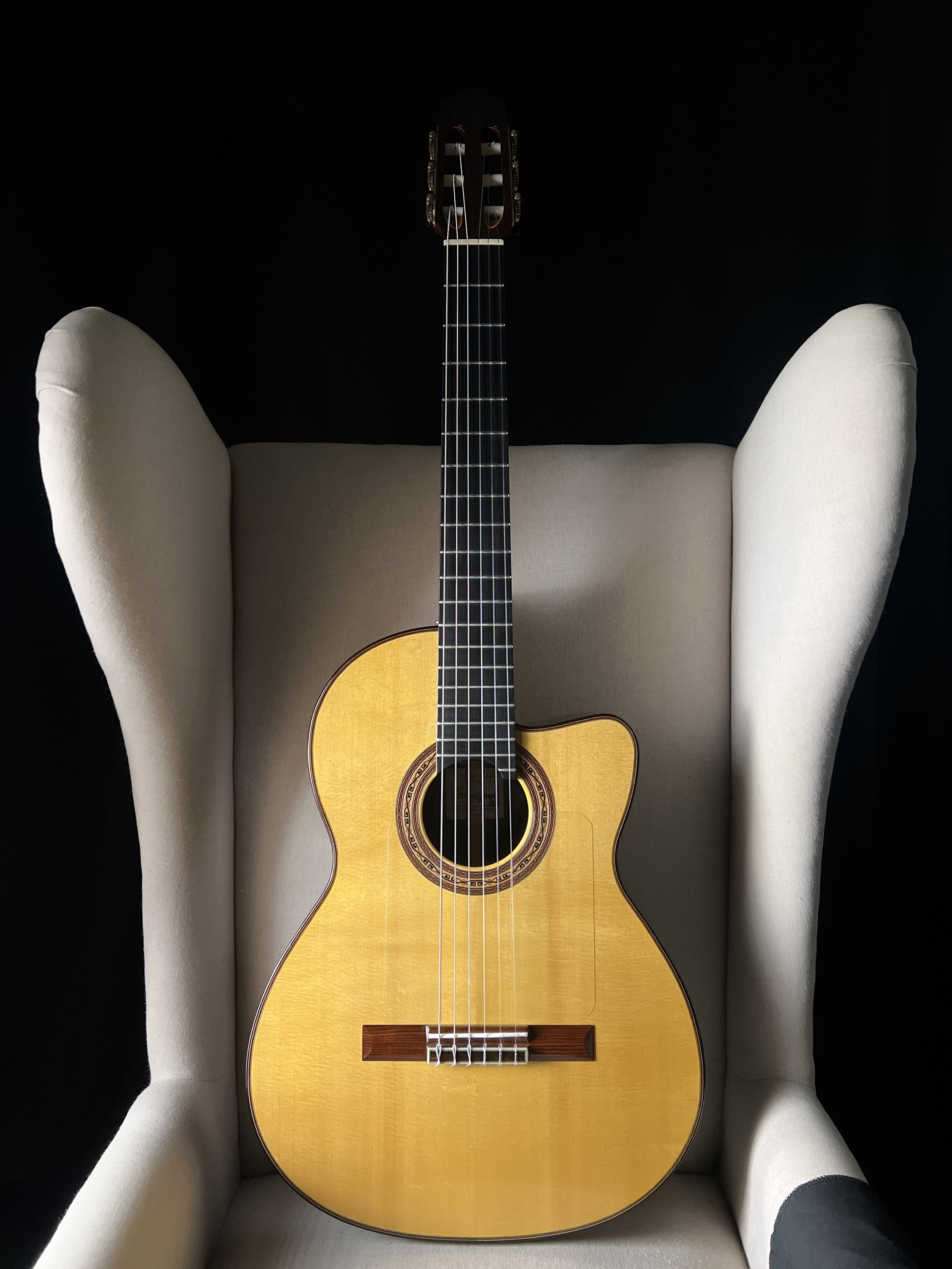 Oskar Graf Cutaway Classical