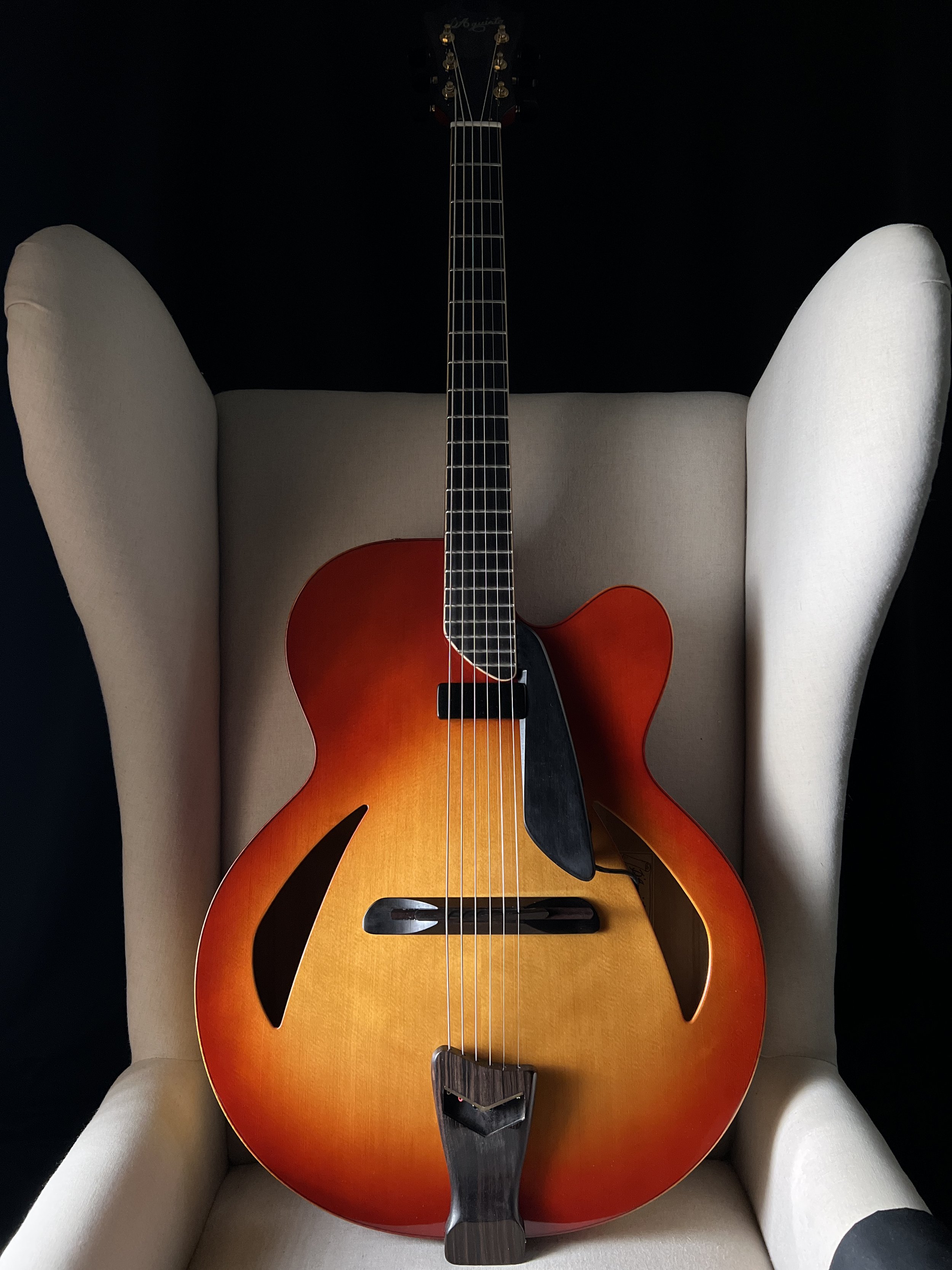 D'Aquisto Centura 17" Archtop