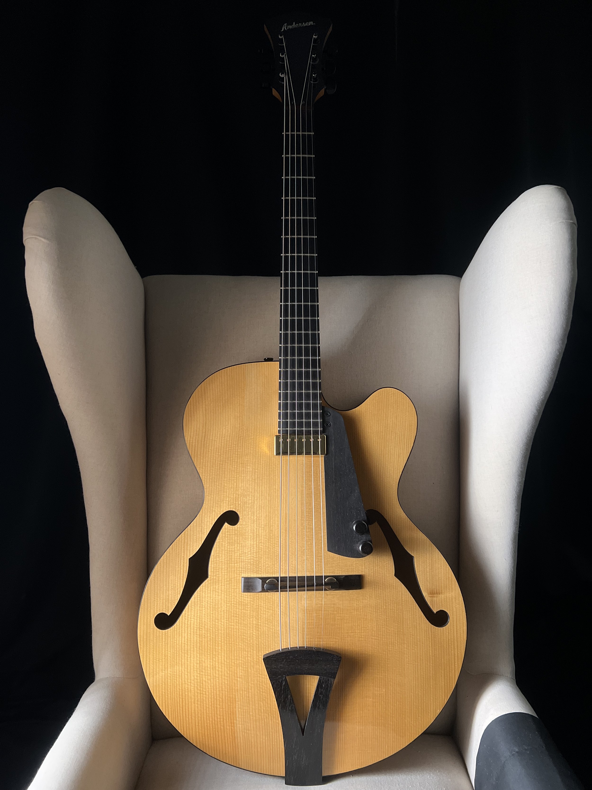 Steve Andersen Model 17 Archtop