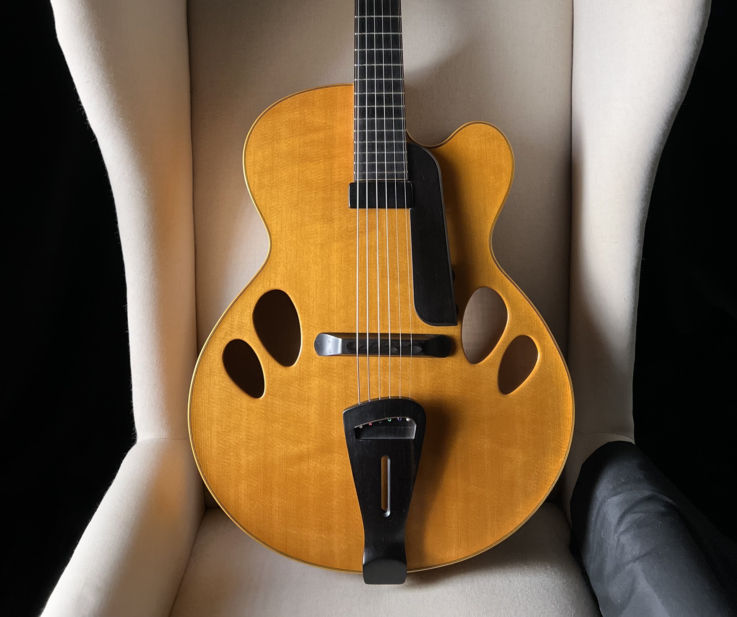Sakashta Jazz Guitar Designs Master Model 16
