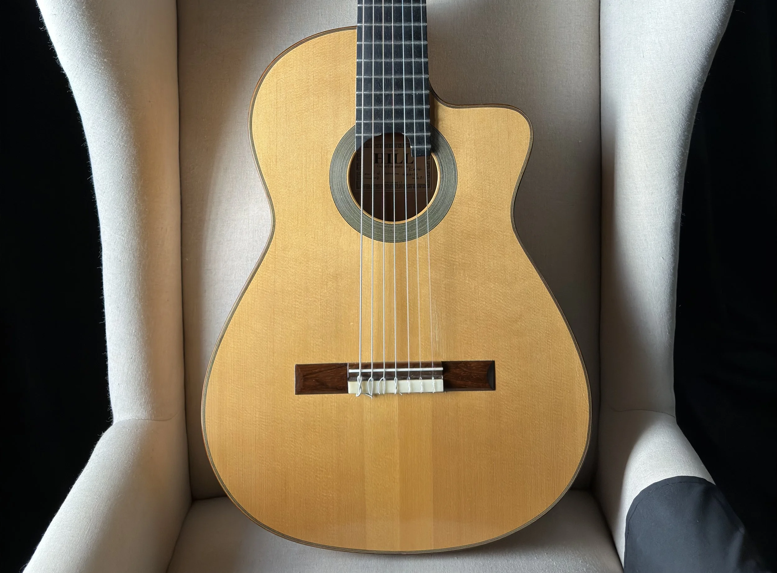 Kenny Hill 7 String Crossover Classical