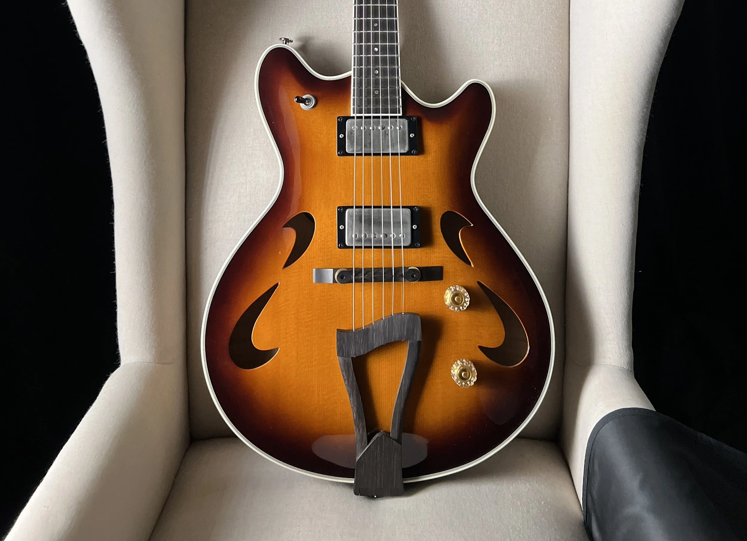 T's Arc Jazz Hollowbody Archtop
