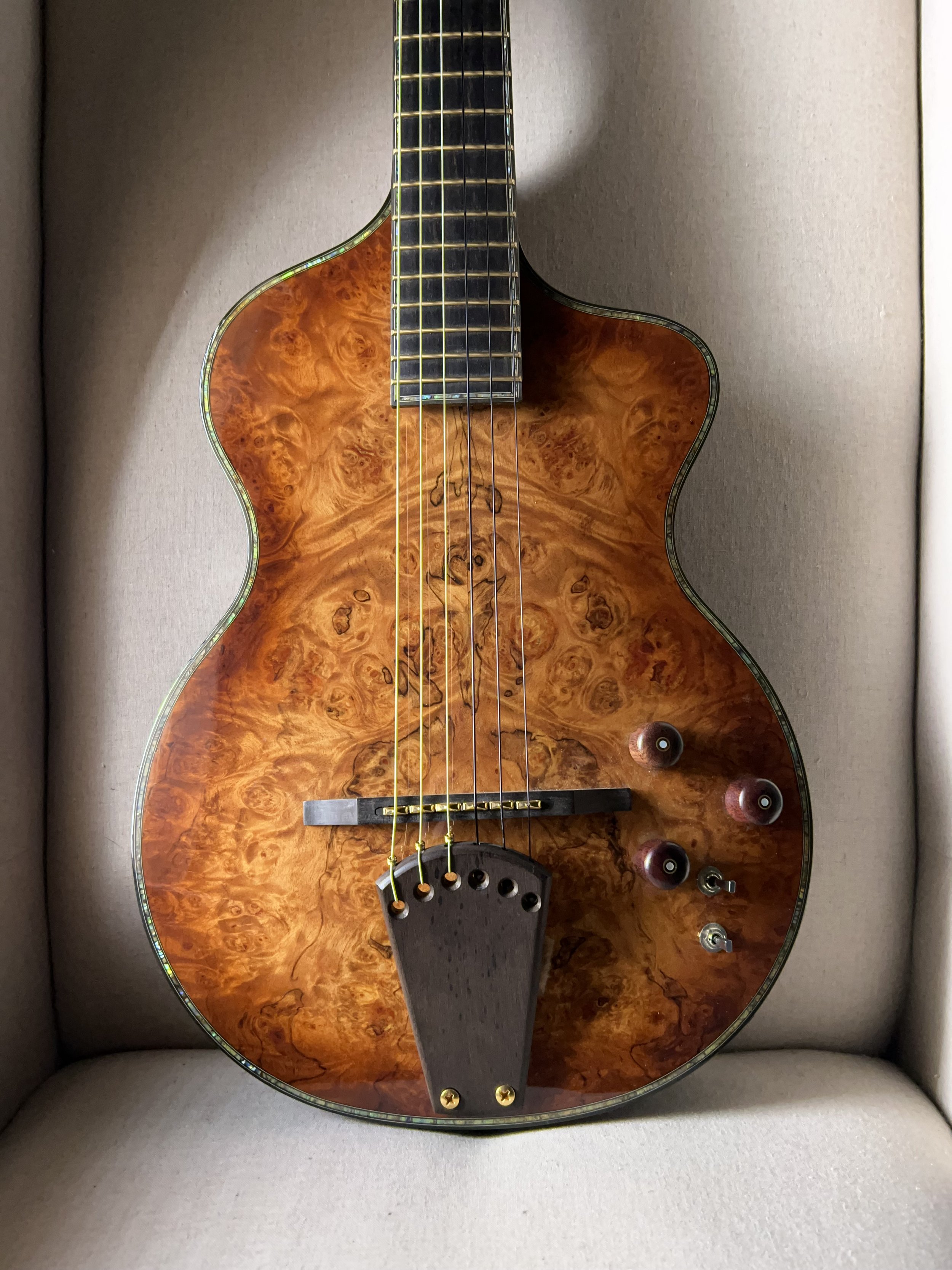 Rick Turner Model One Custom Nylon