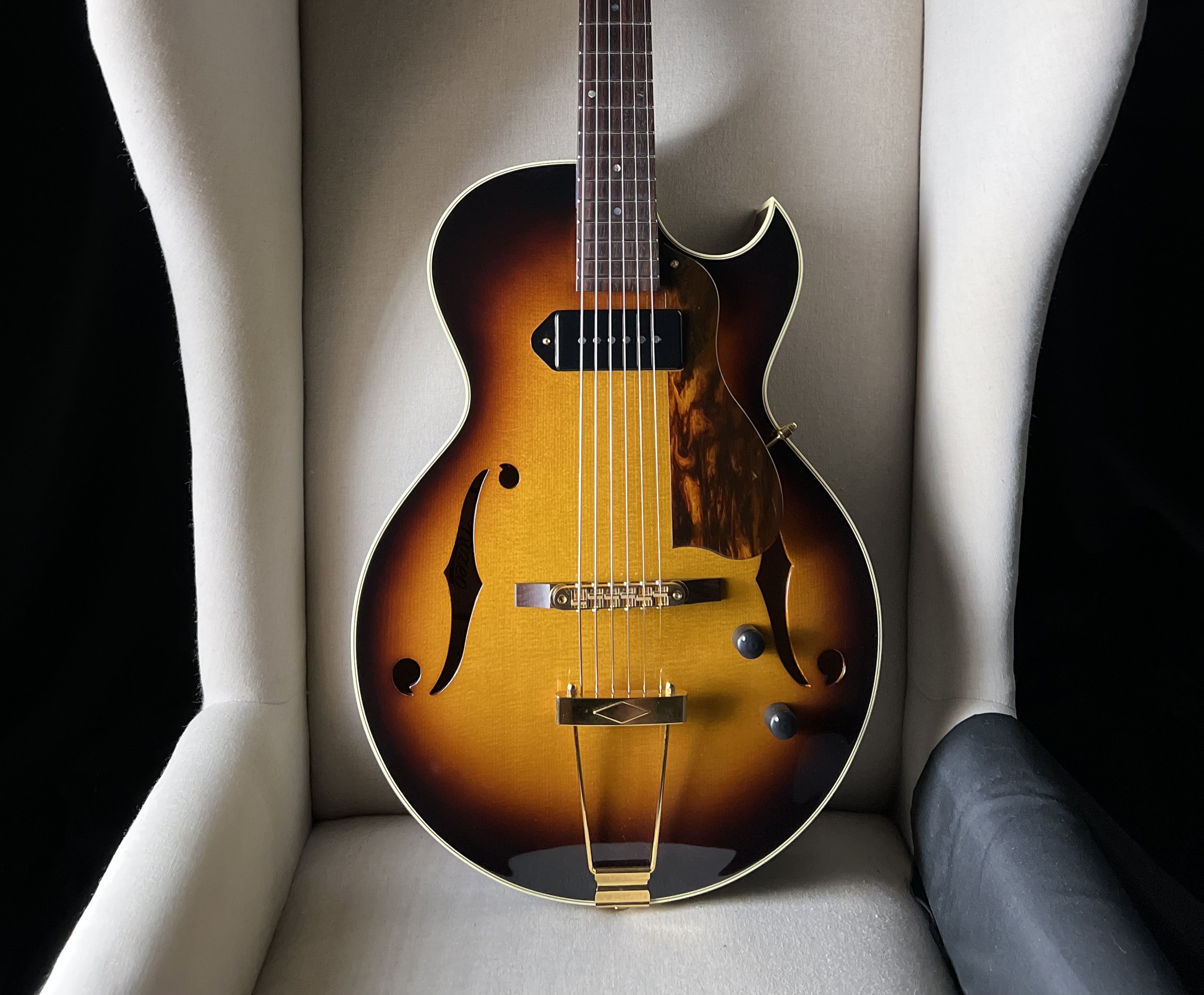 Rozeo Ladybug Custom Archtop