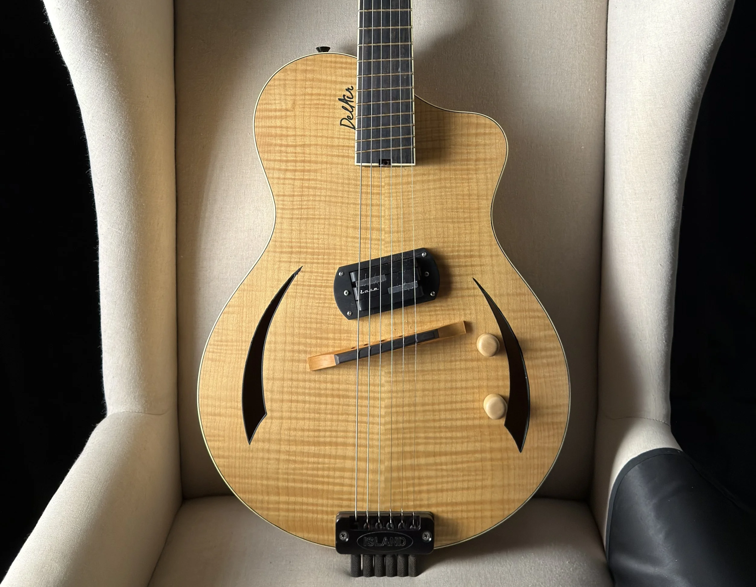 Island Instruments DelAir