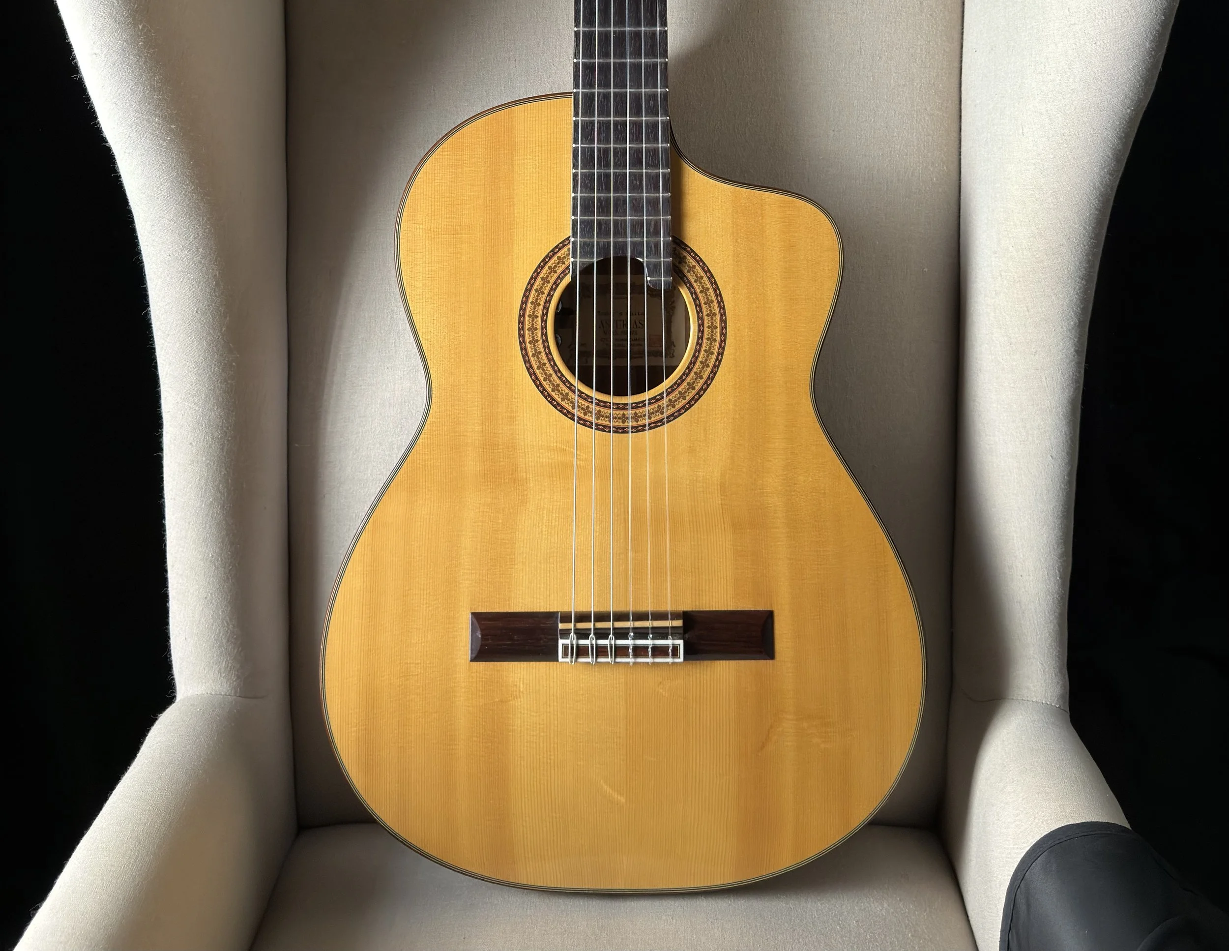 Asturias Thin Body Cutaway Classical