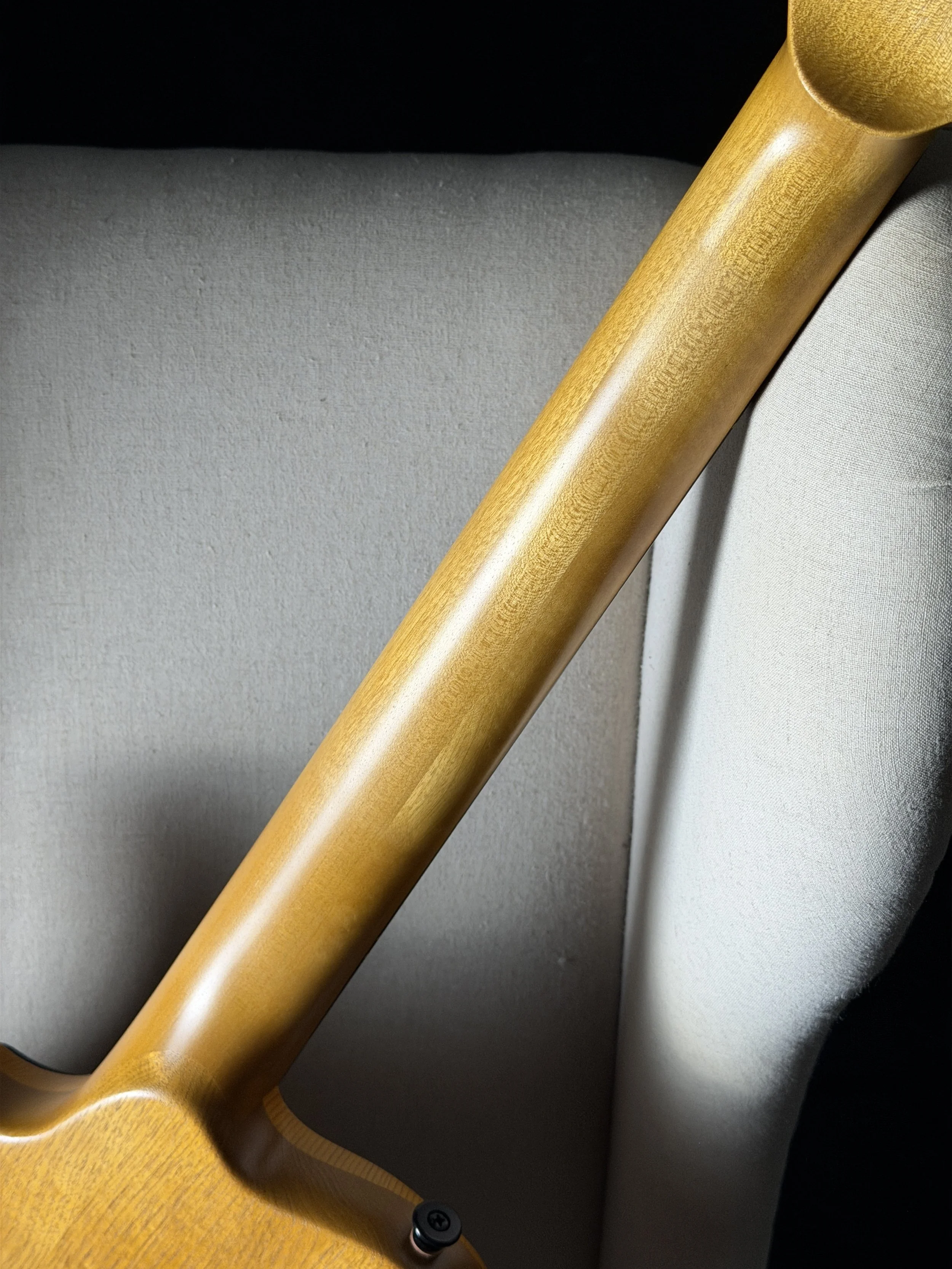 Shinya Shikagawa Sol 14.5 showing Hokkaido birch neck