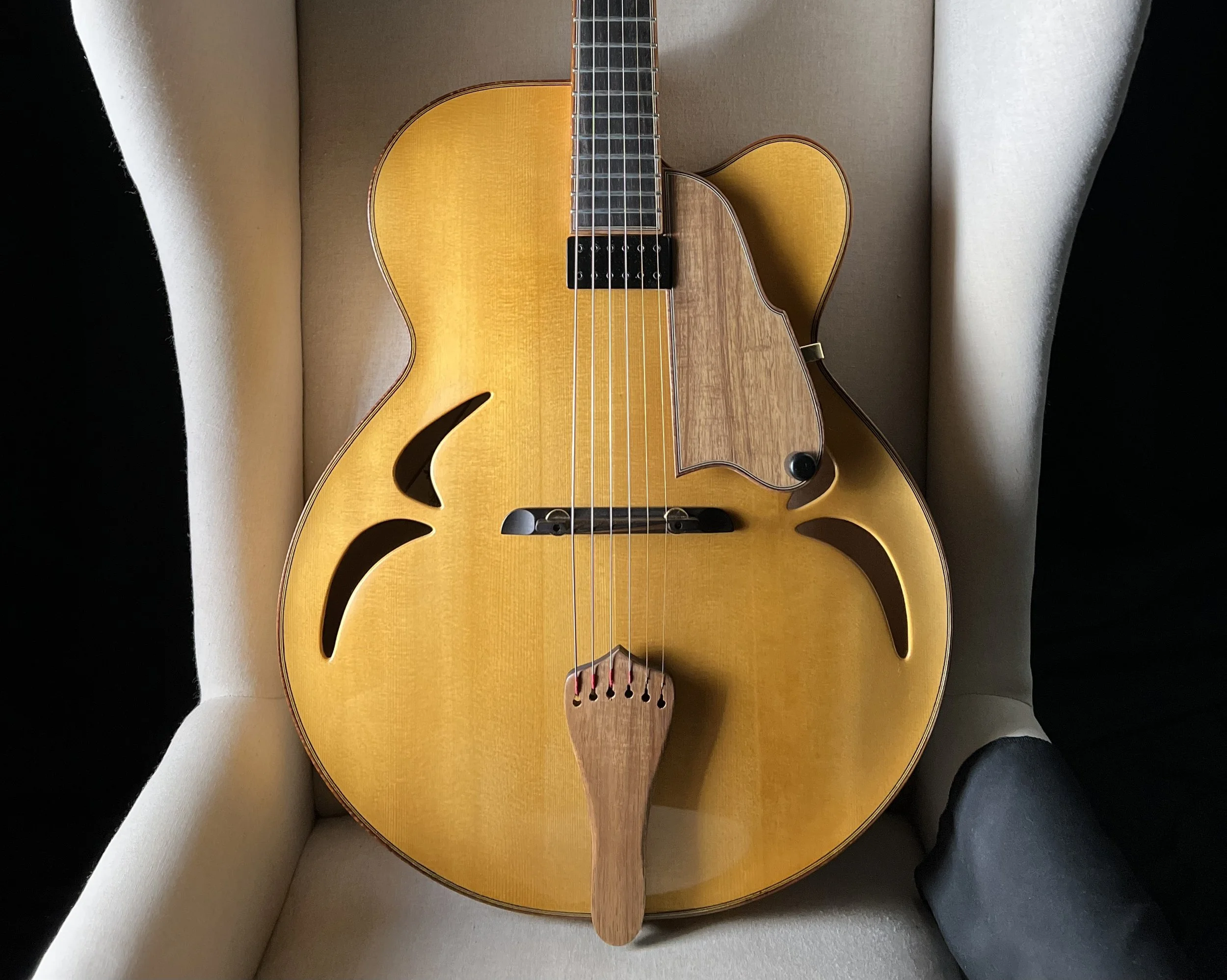 William Gagnon Composer 17" Archtop