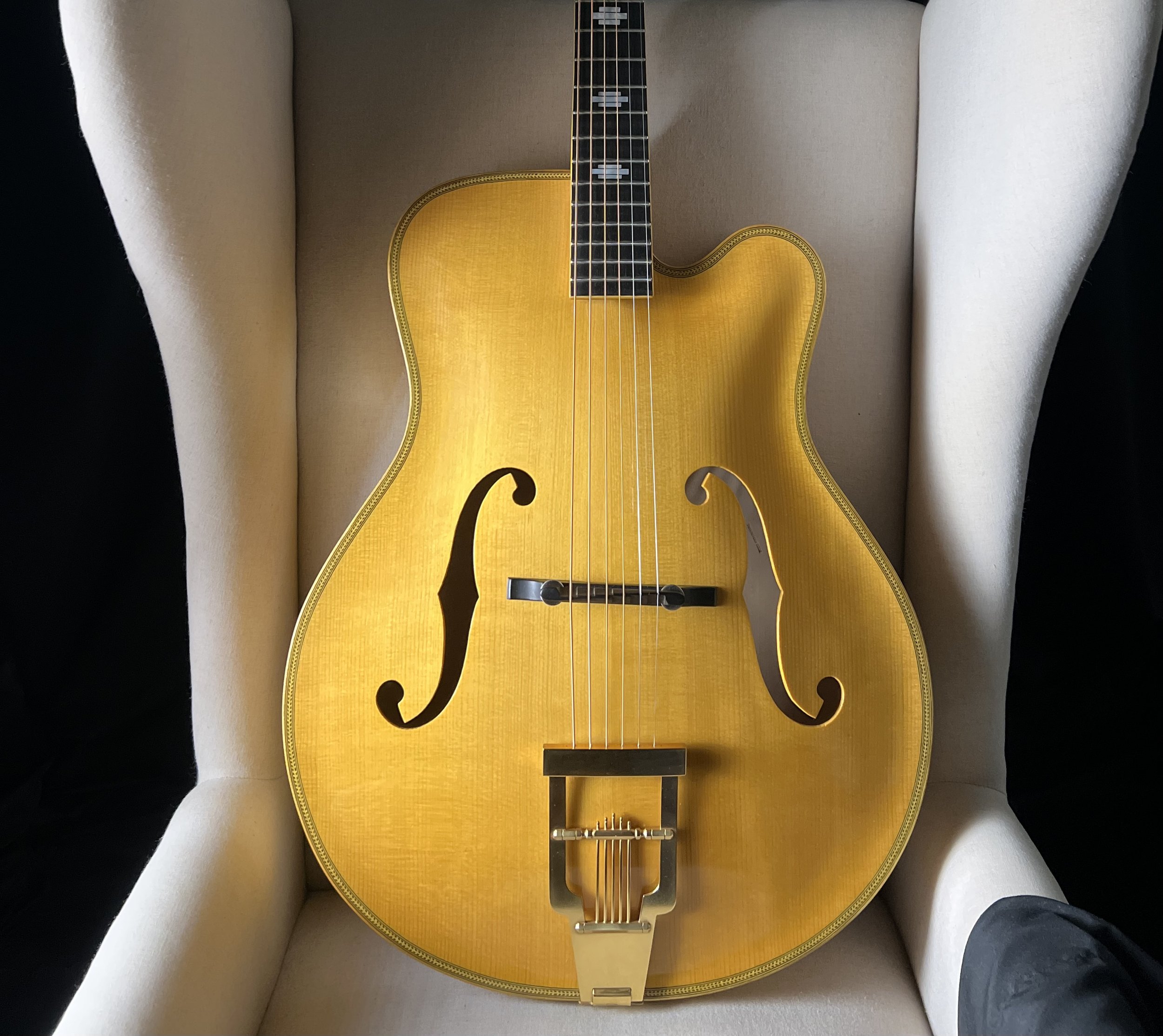 Bozo Podunavac 17" Archtop