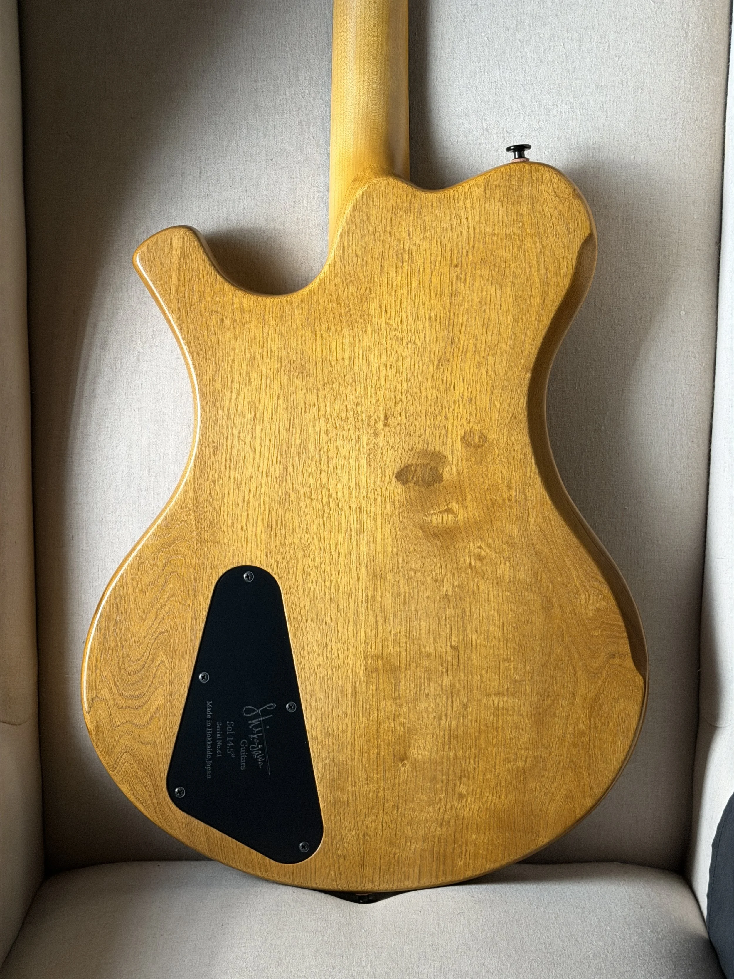 Shinya Shikagawa Sol 14.5 showing Hokkaido walnut back