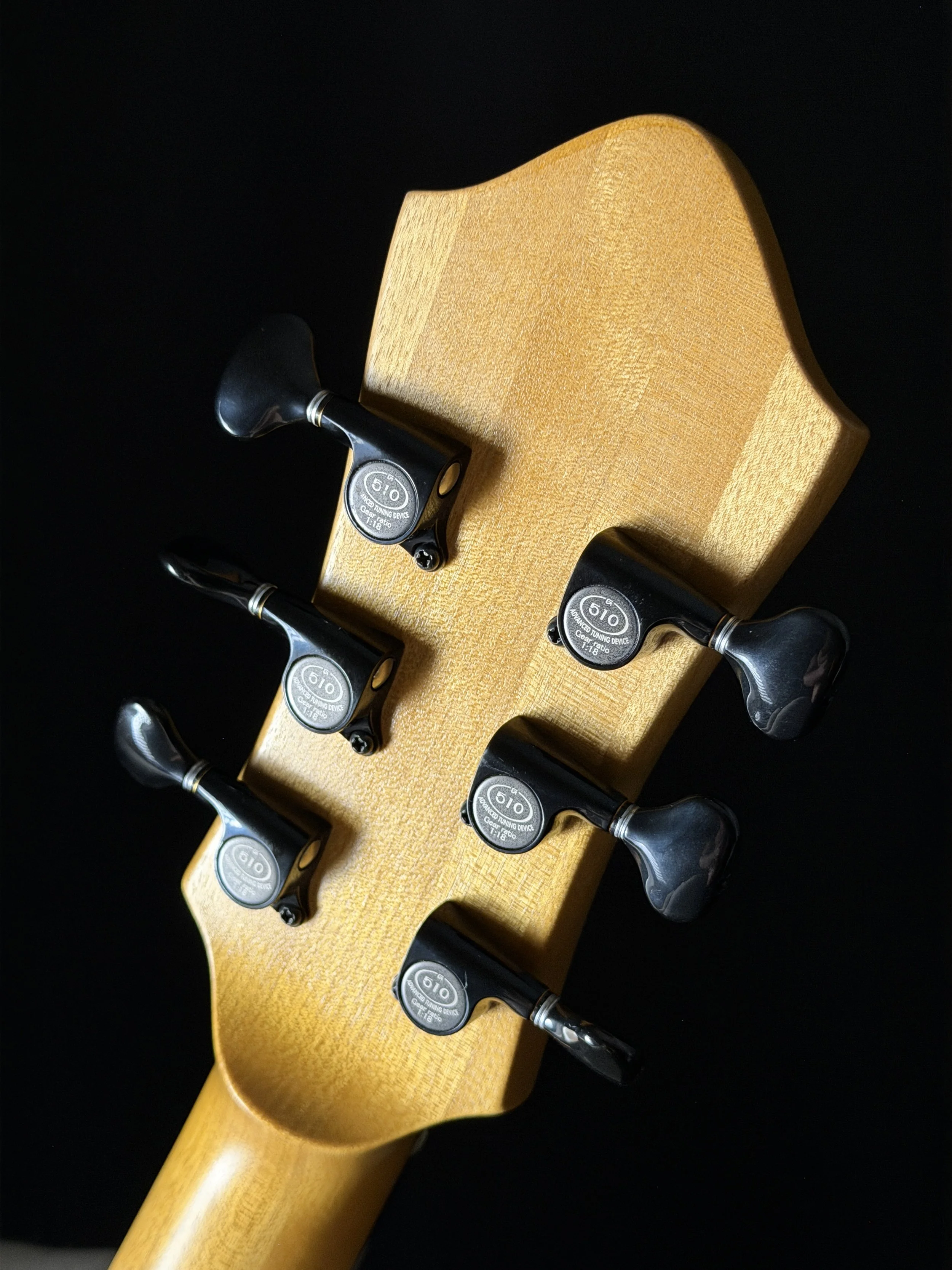 Shinya Shikagawa Sol 14.5 showing headstock back