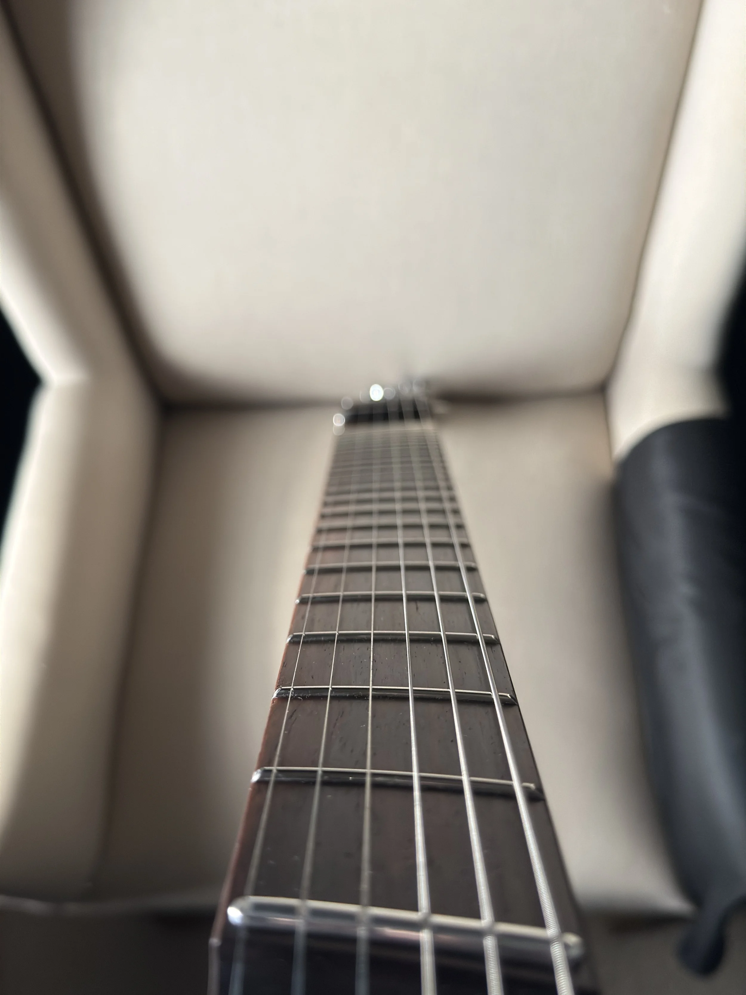IMG_1625.jpeg