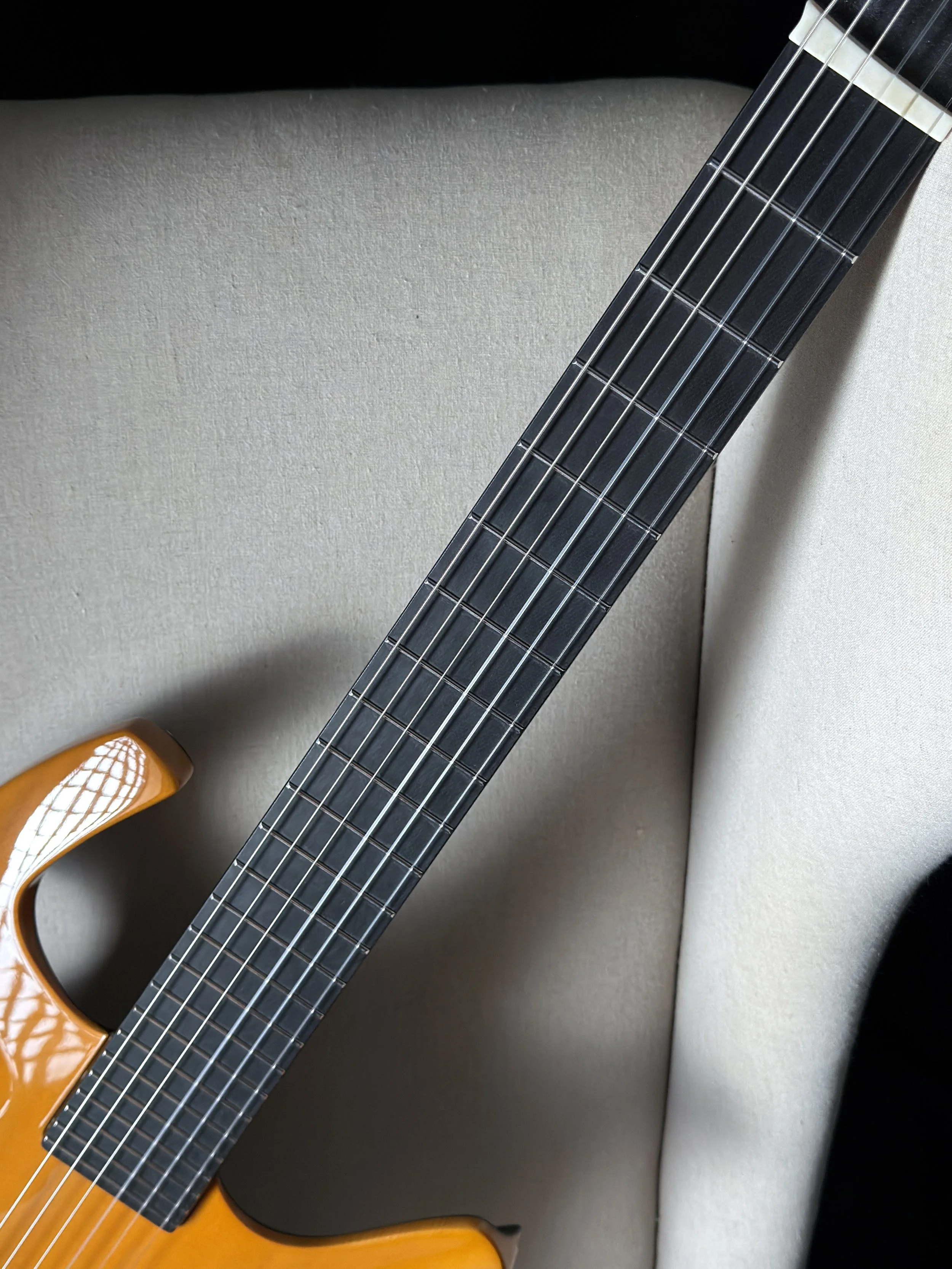 Parker Fly Nylon showing fretboard