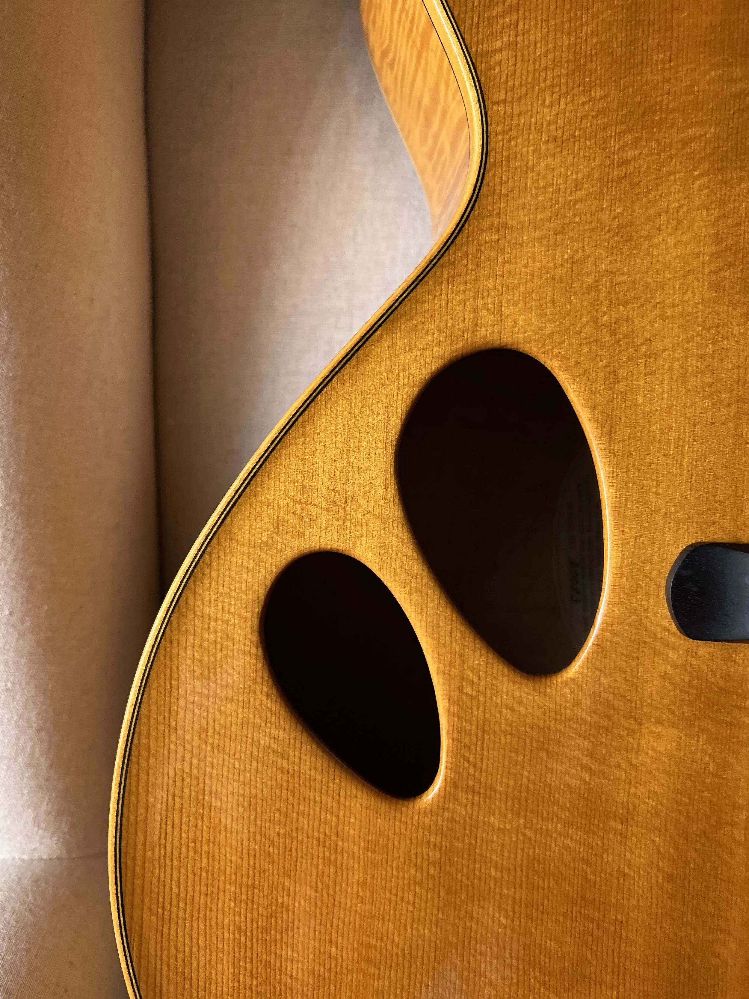 Sakashta Jazz Guitar Designs Master Model 16