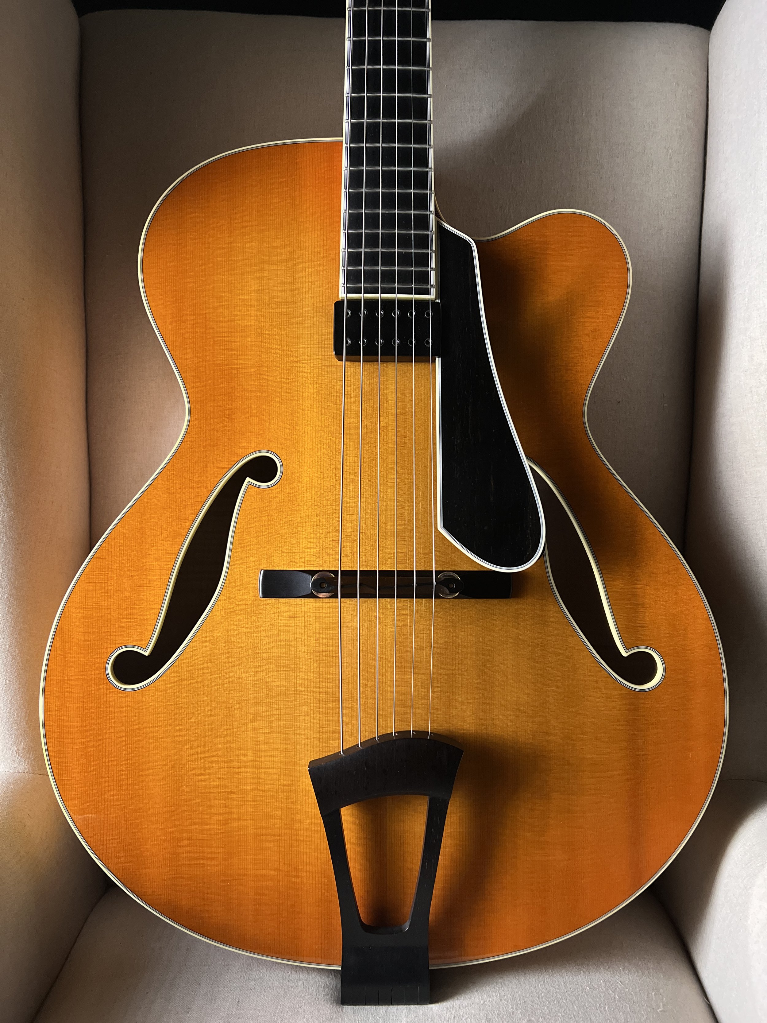 Kiso Ribbecke Archtop 17"