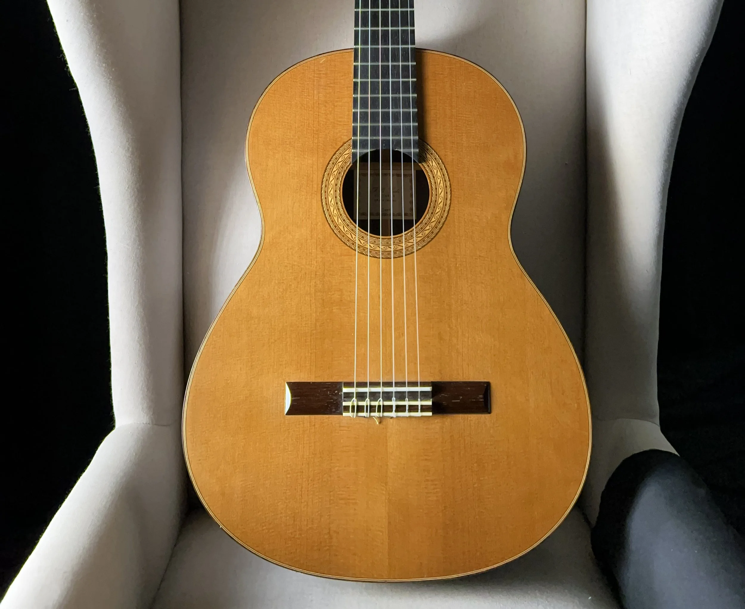 Fratelli Lodi Brazilian Rosewood Classical