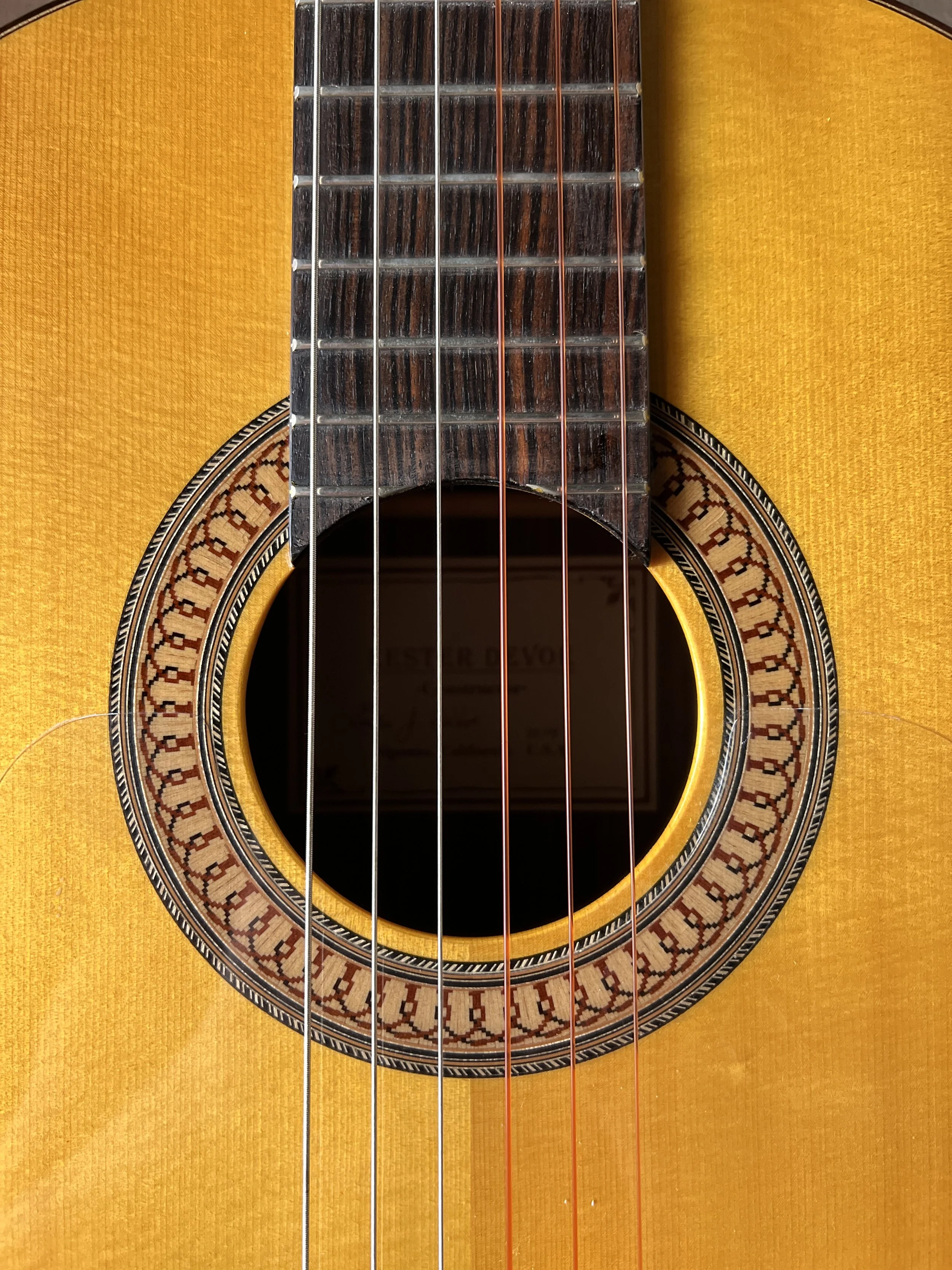 Lester Devoe Flamenco Negra