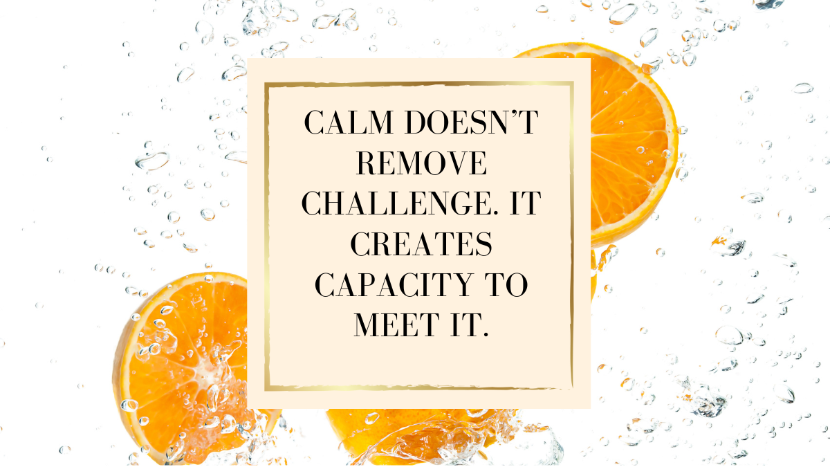 Starting the Year Calm: A Different Way to Think About Calm