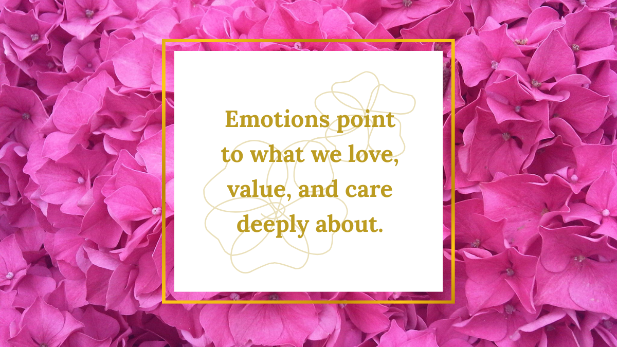 Emotions: Why We Feel What We Feel