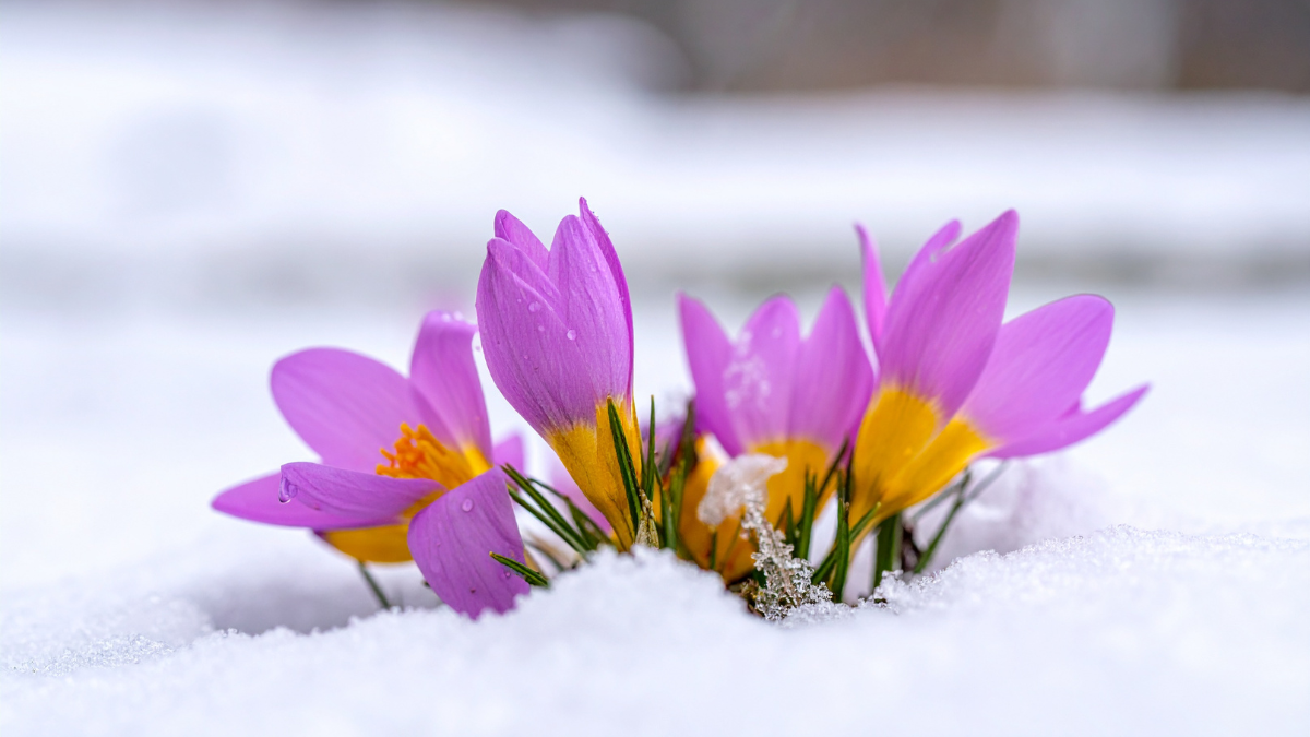 Joy Is the Body’s Response to Love