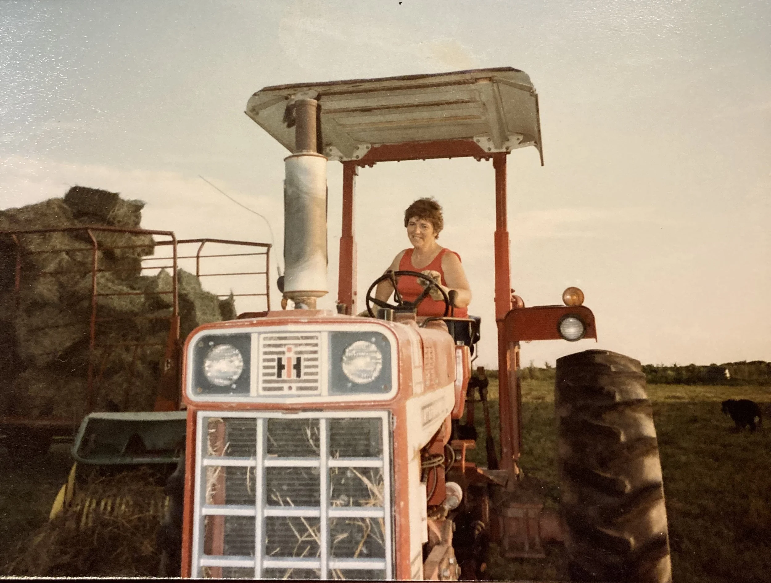 Leadership on the Farm: Lessons for International Women’s Day